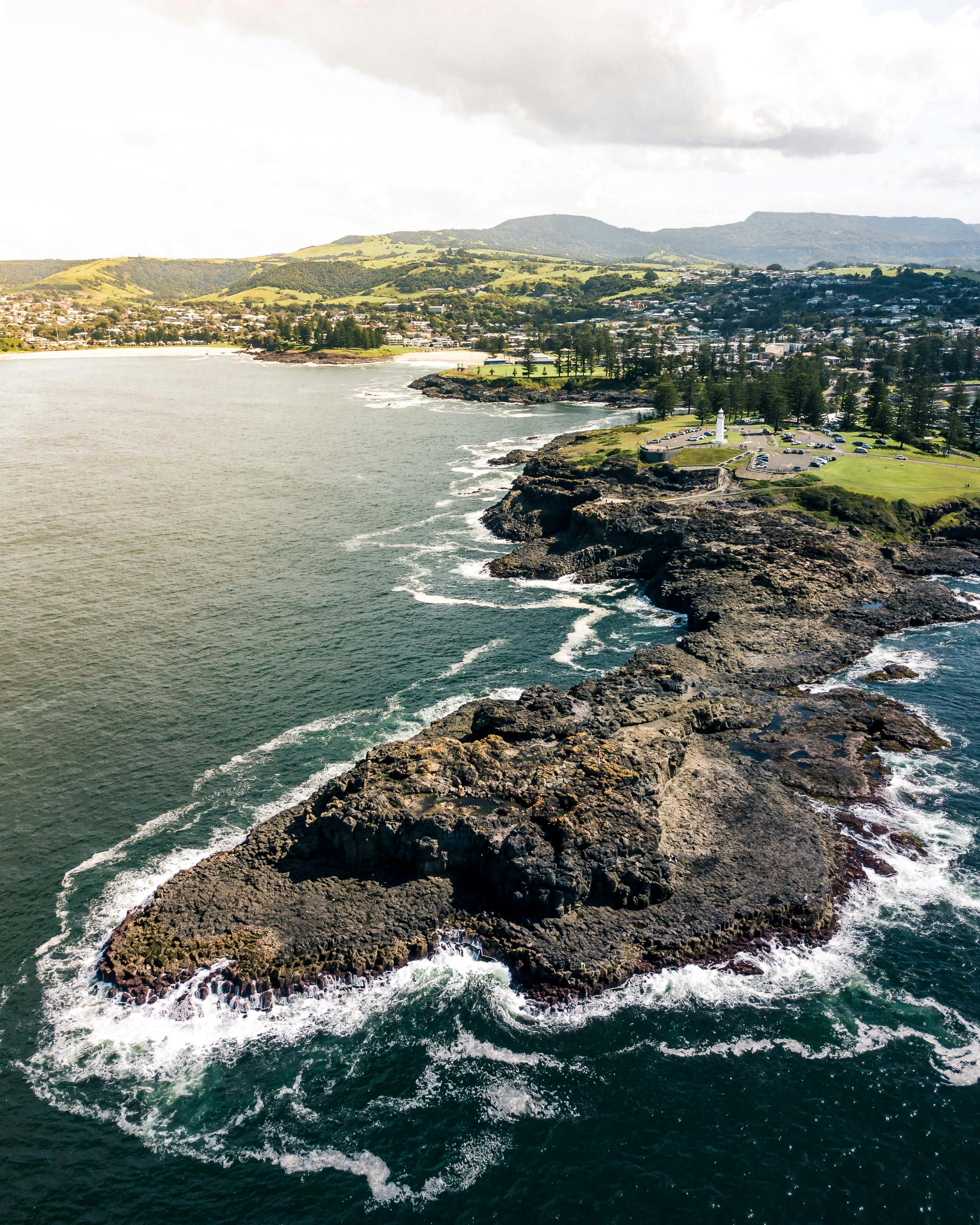 aerial view of green trees and body of water during daytime