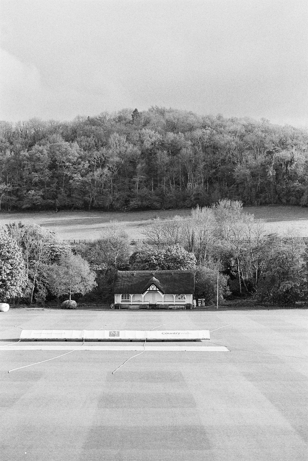 Photo en niveaux de gris d’une maison entourée d’arbres