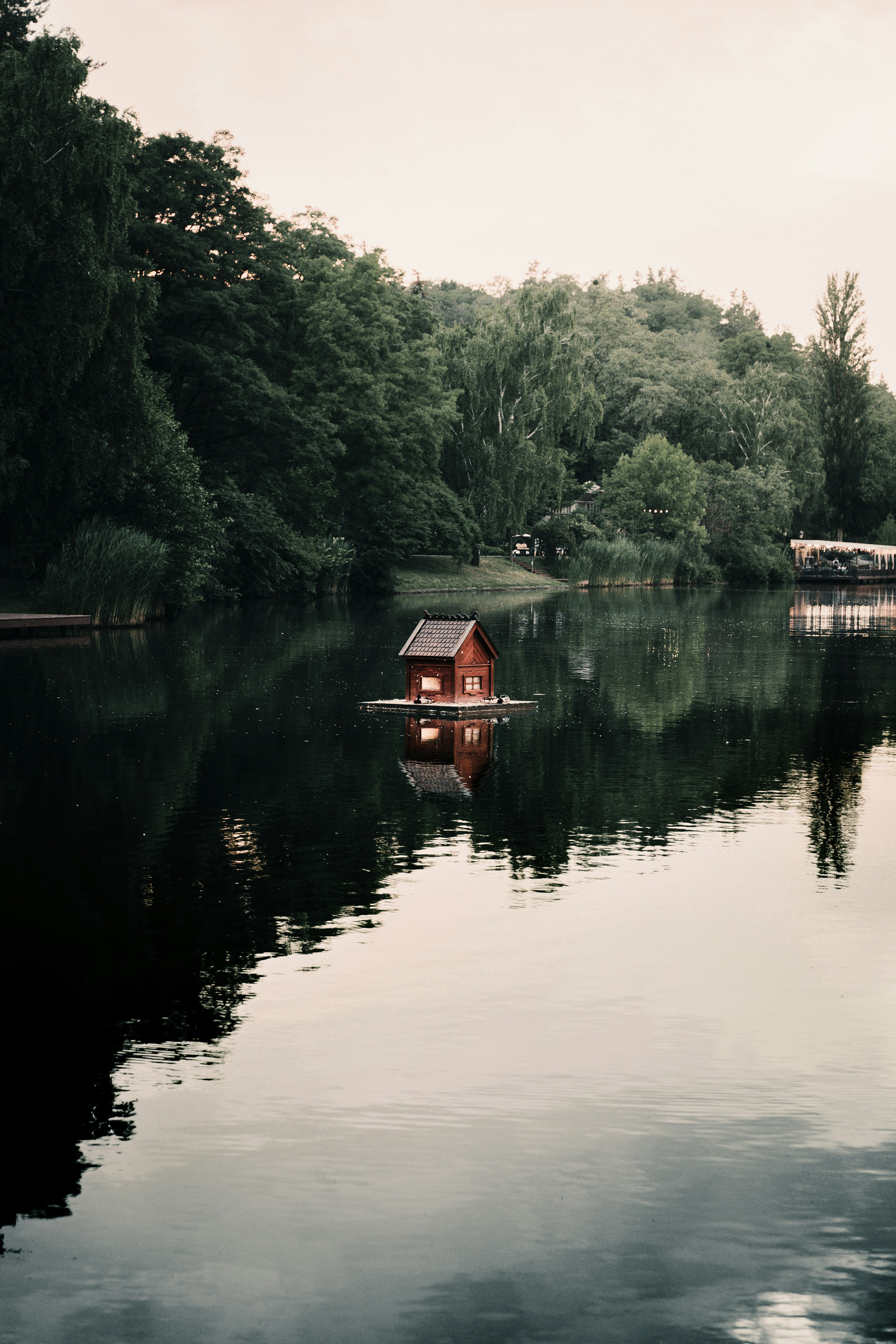Photo by maksym_tymchyk