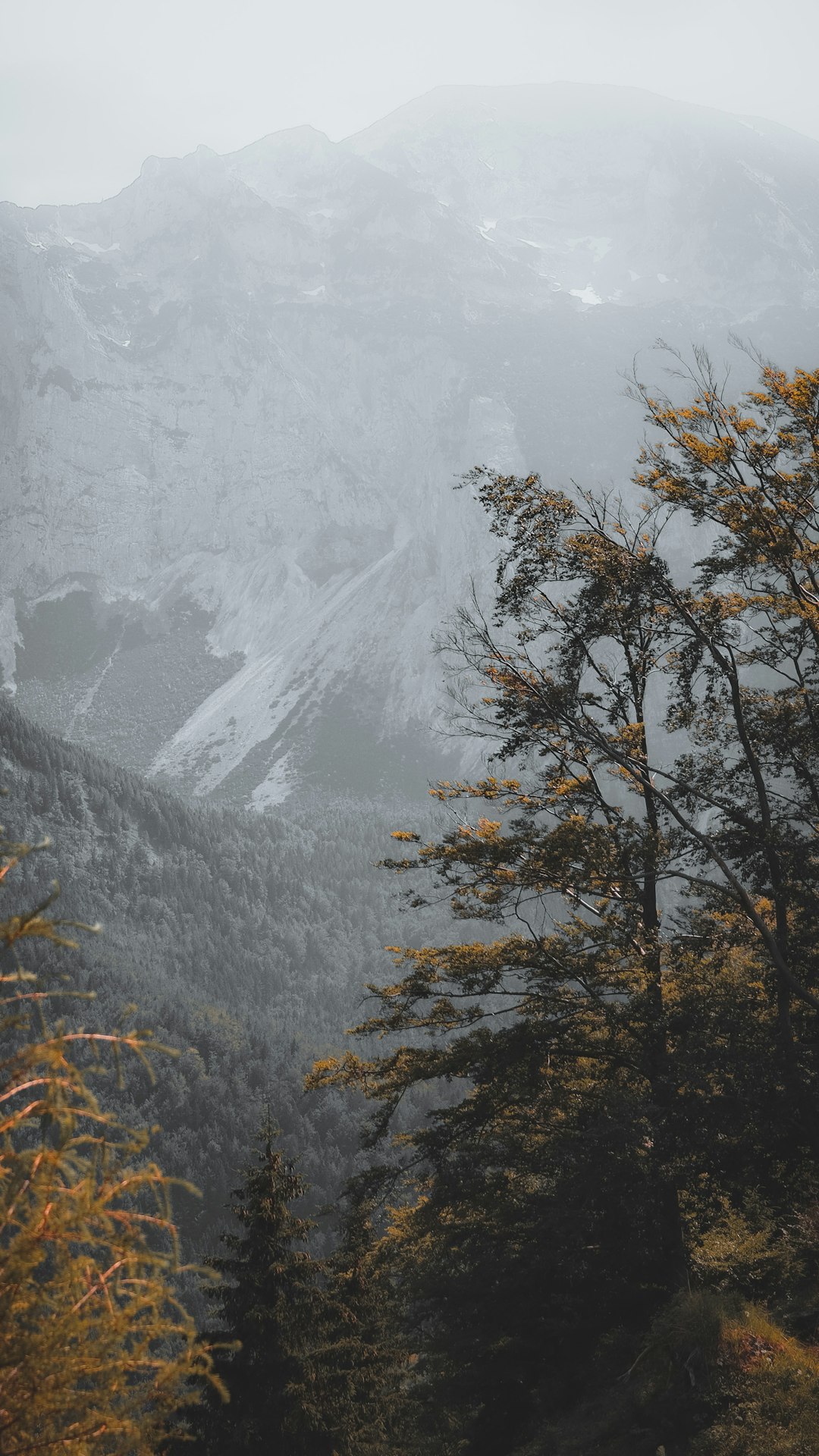 Highland photo spot Vorderer Langbathsee Traunkirchen