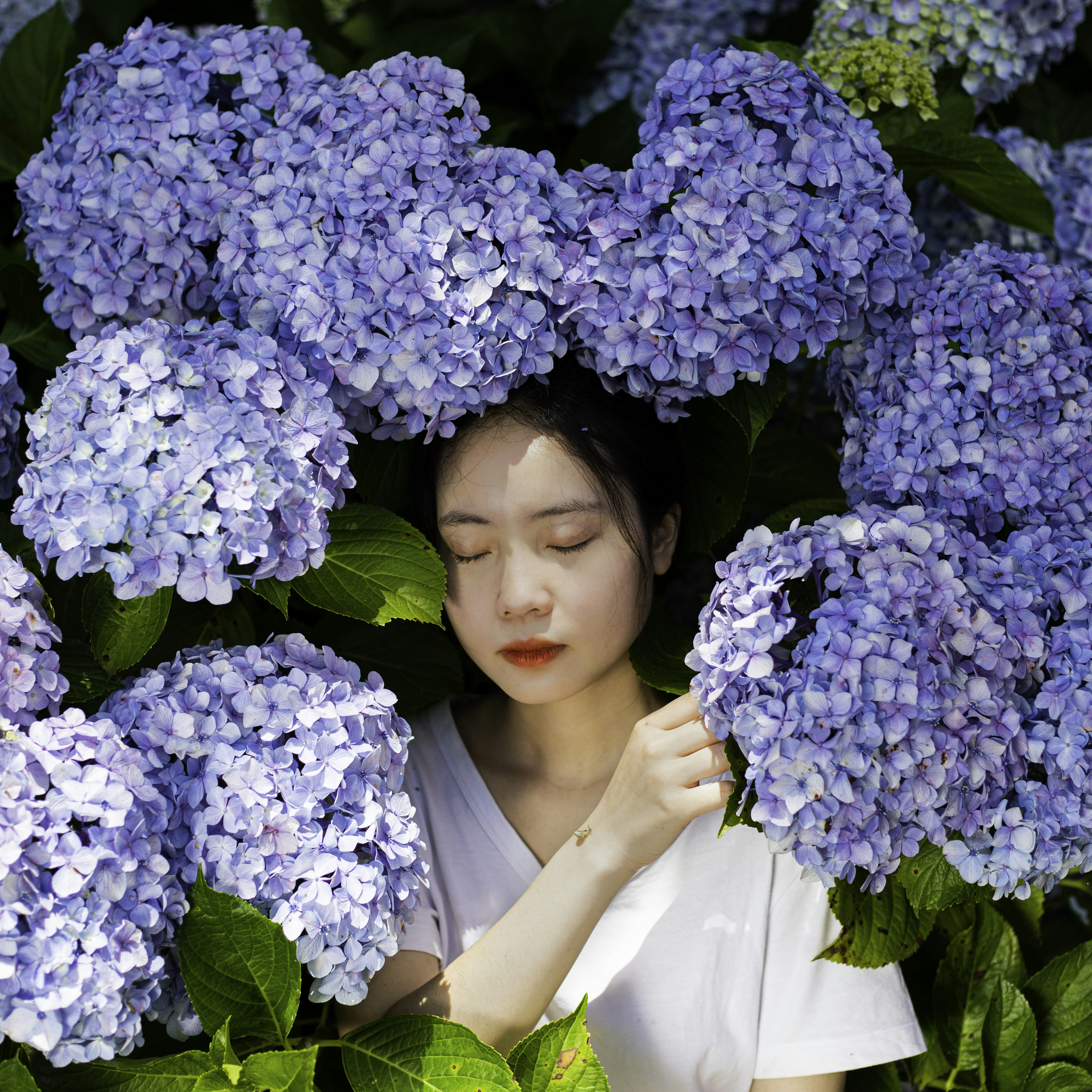 Photo by duongtrungthinh