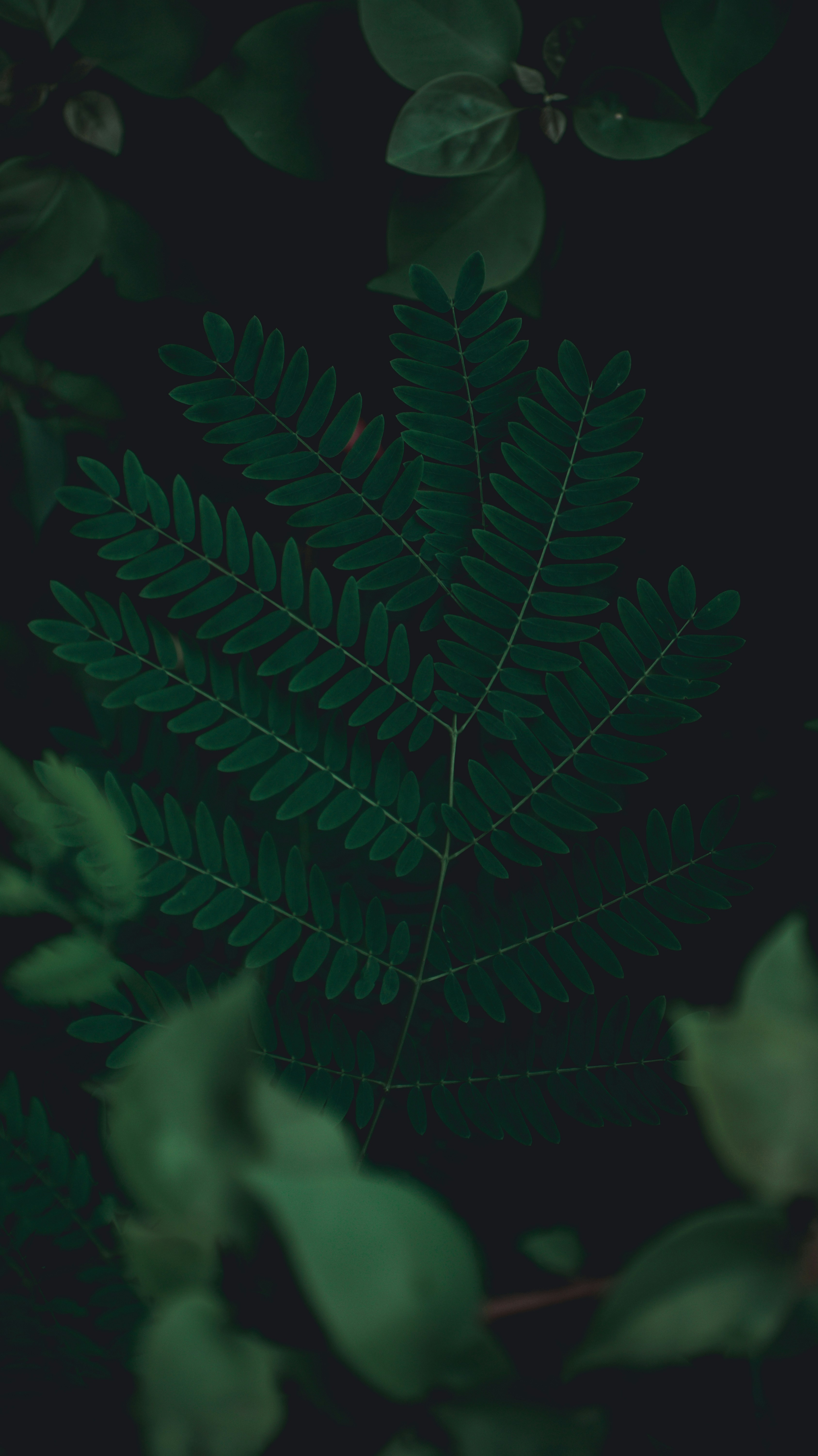 Photo by baraikshivam22