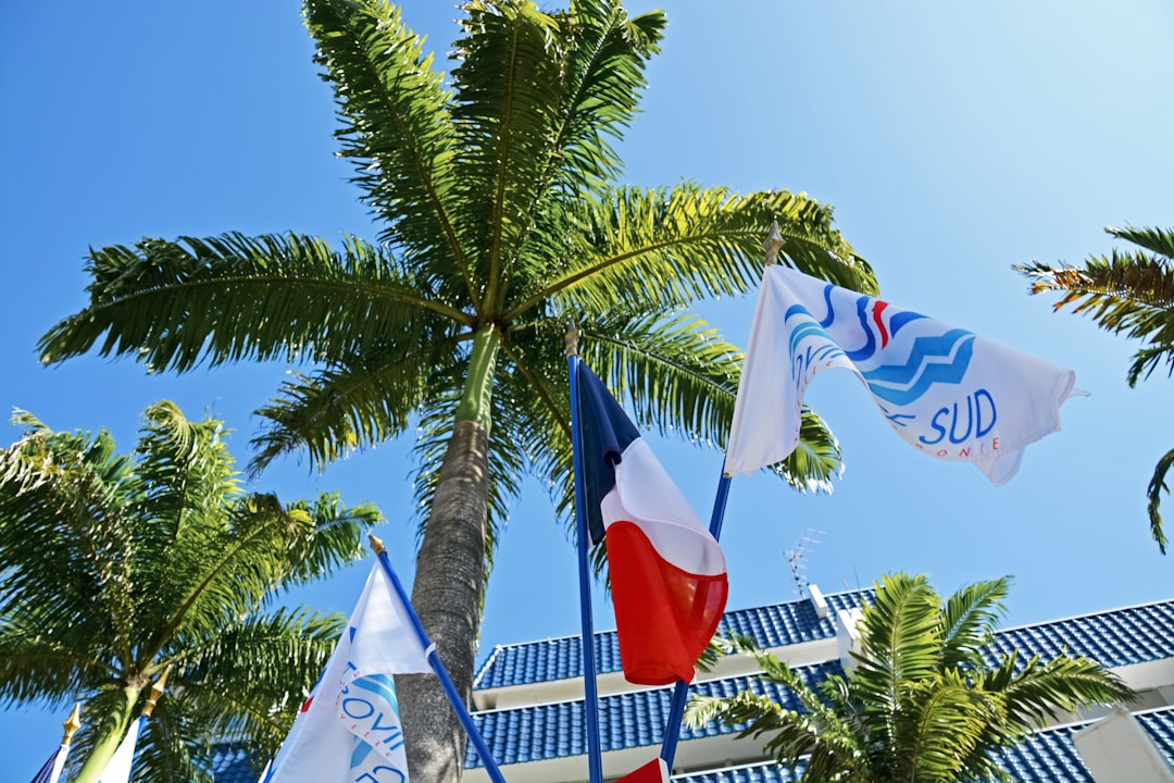 flags on poles near palm trees during daytime