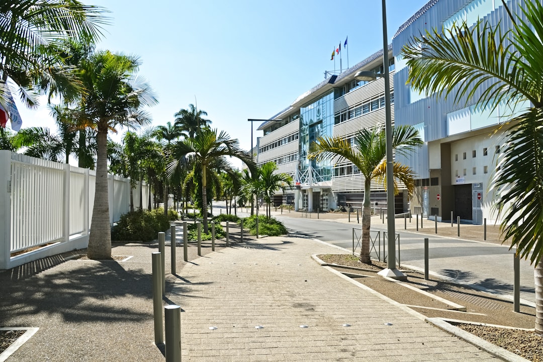 green palm trees near white concrete building during daytime