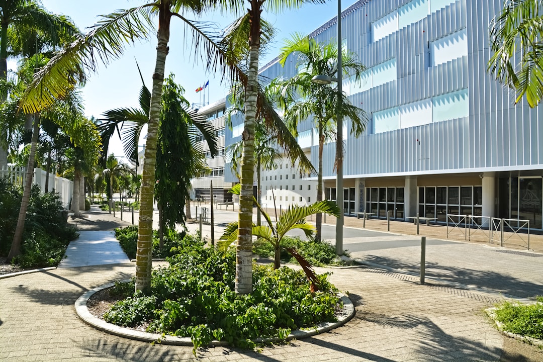 palm trees near white concrete building during daytime