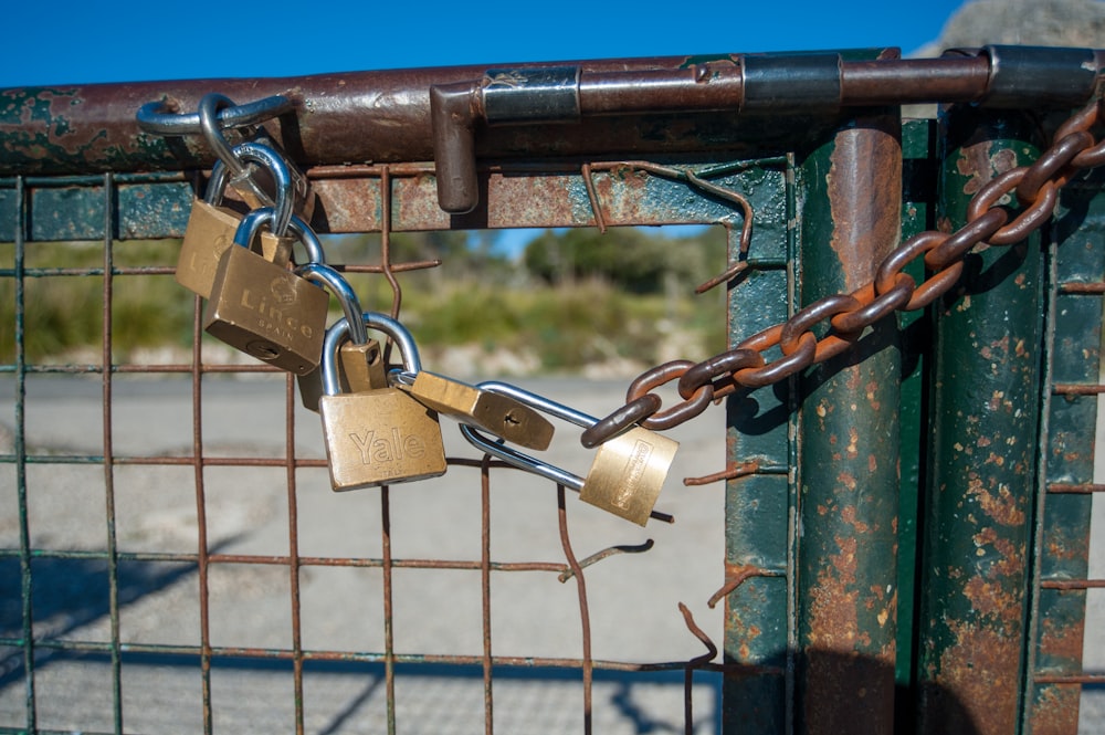 brass padlock on blue metal fence