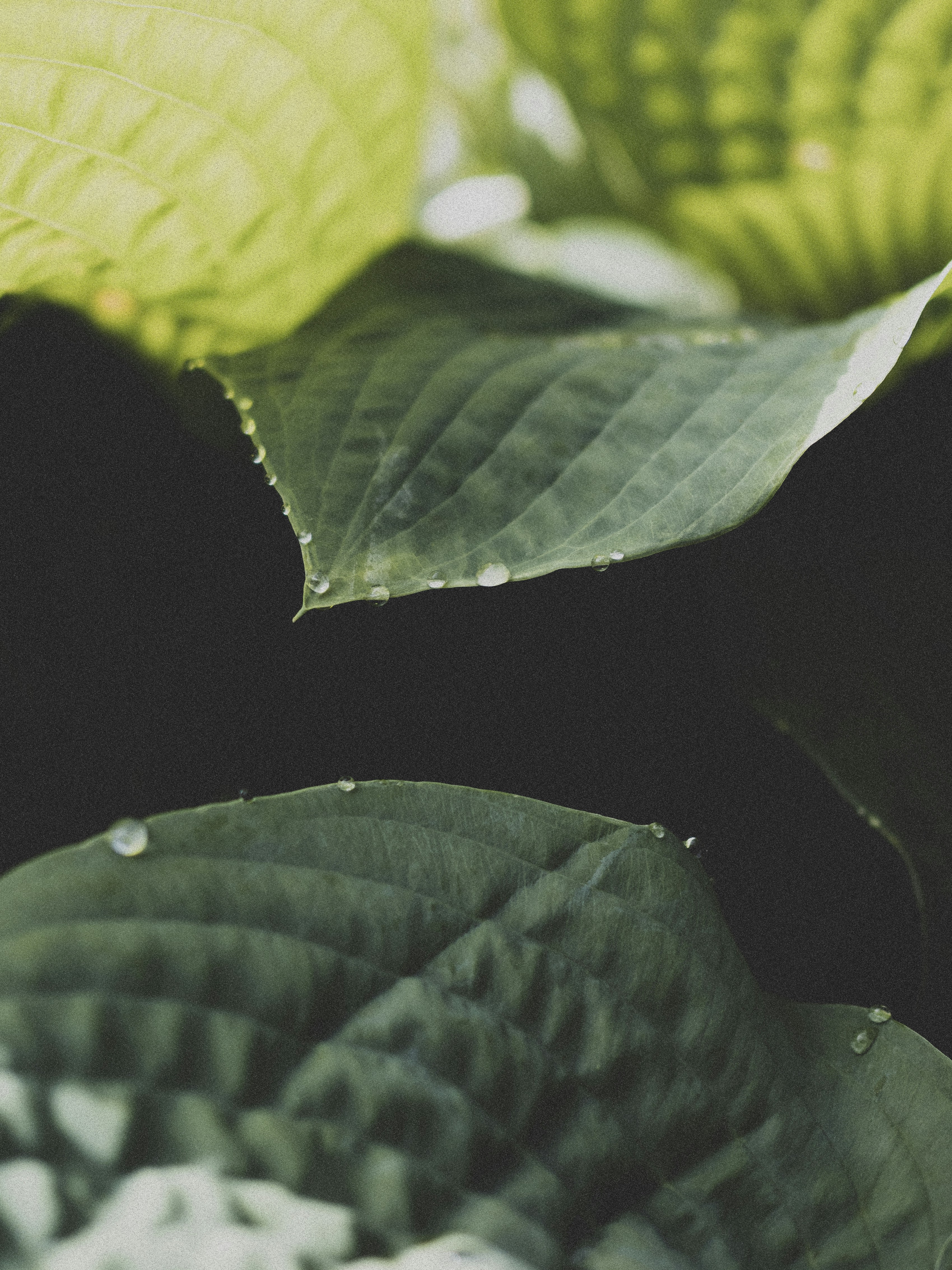 Photo by justinpheapco