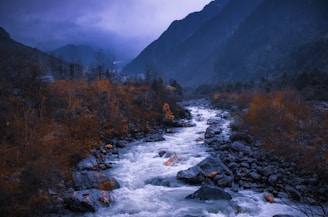 river in between trees and mountains during daytime