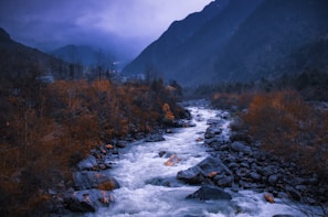 river in between trees and mountains during daytime