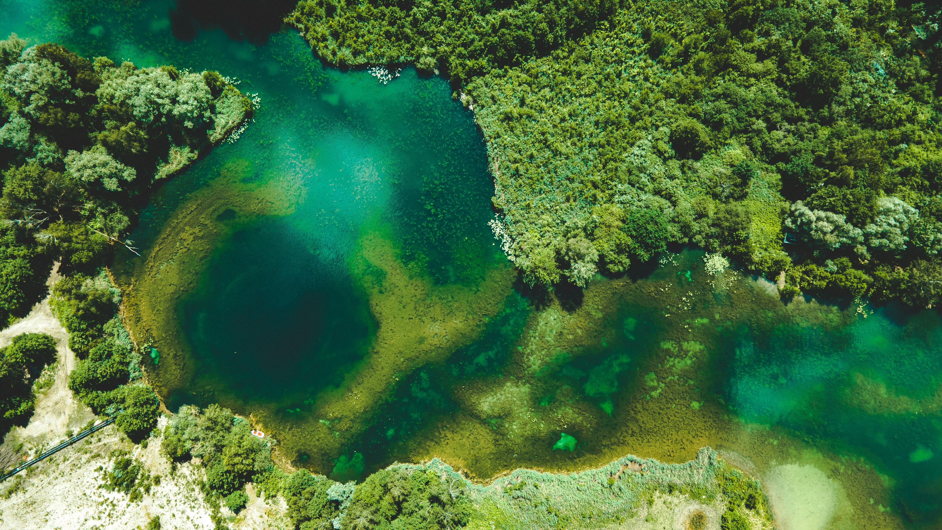aerial view of green trees and blue body of water