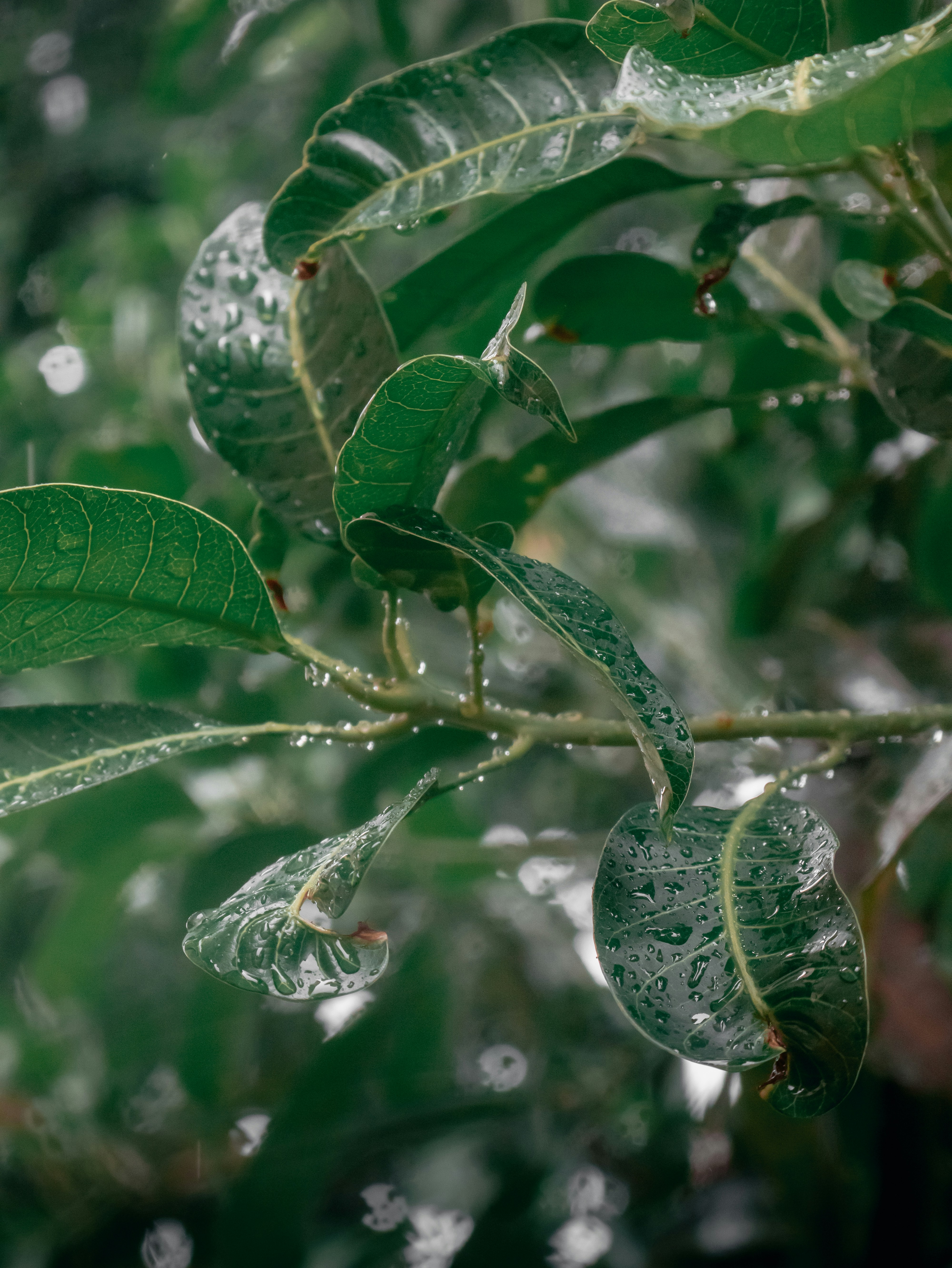 Photo by justinmin27