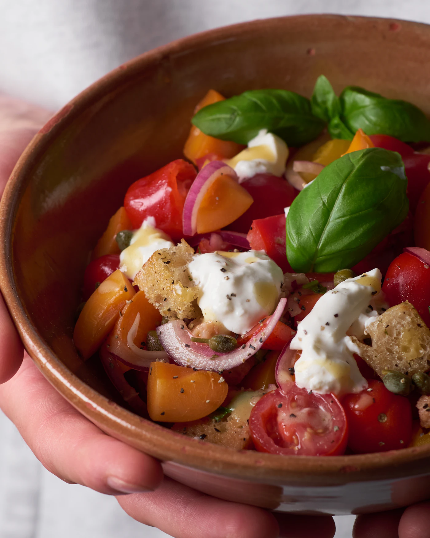 Tomato and apricot panzanella with toasted bread cubes, burrata, red onion, capers, basil, olive oil, and black pepper