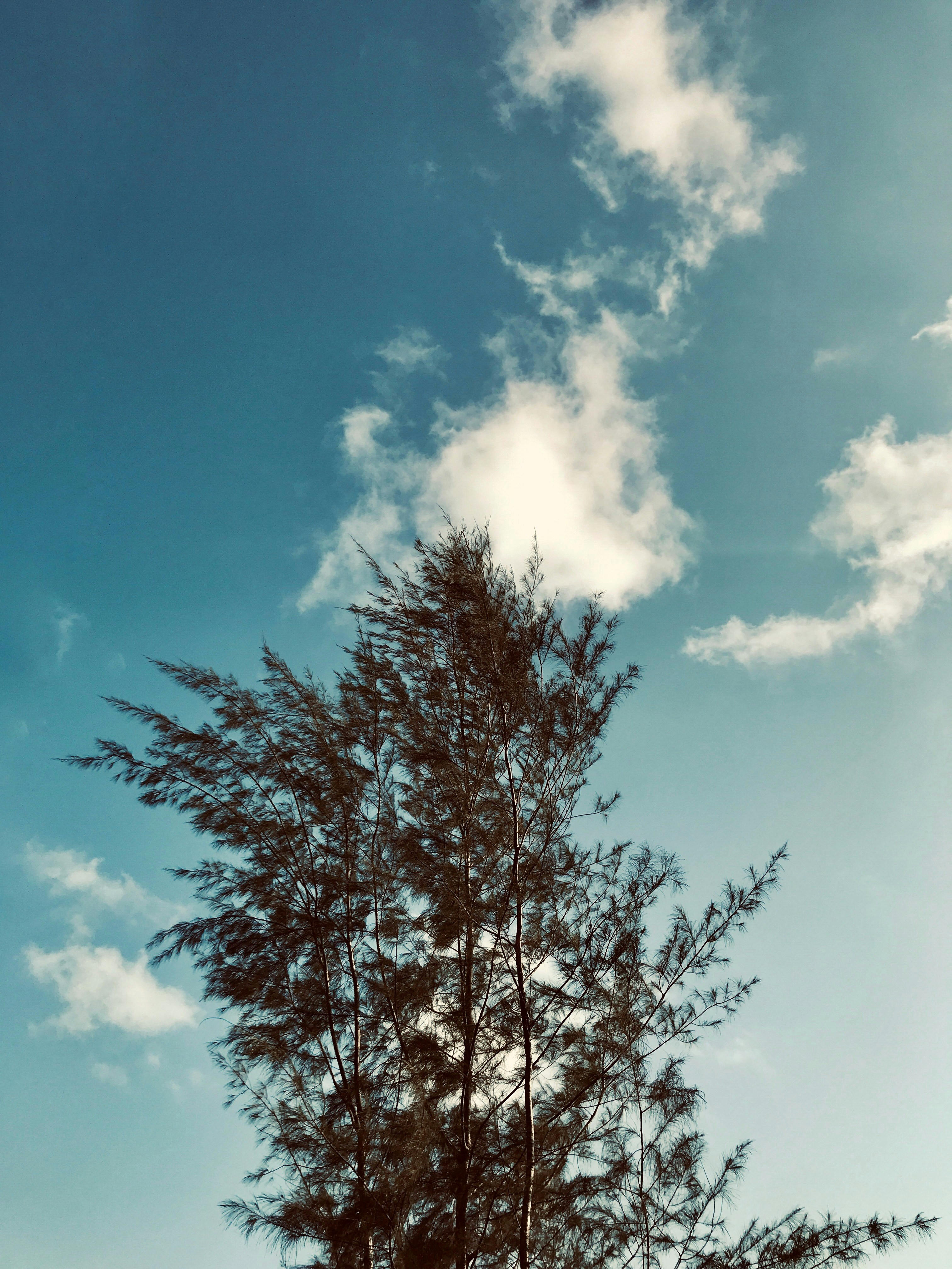 Photo by amalabdullacm