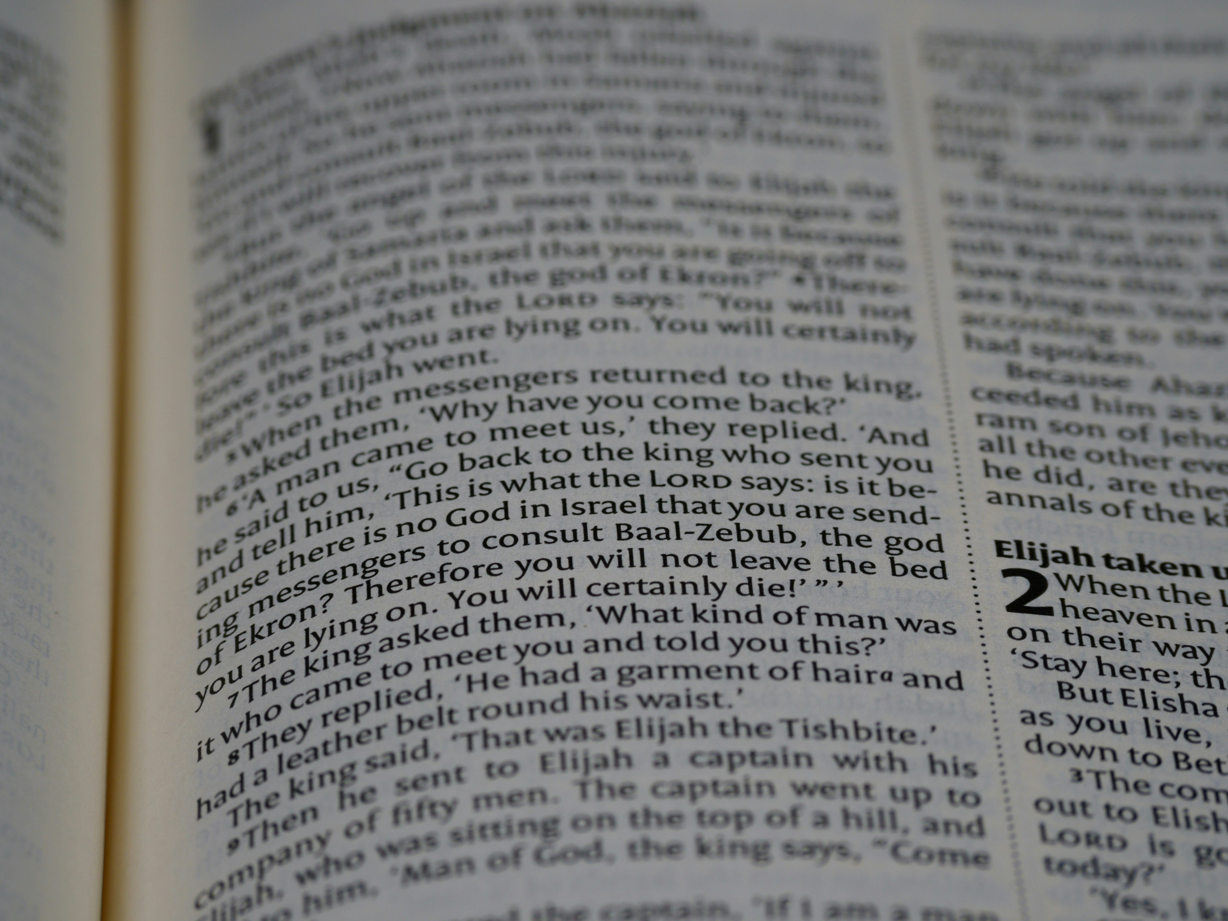 Photo by brett_jordan