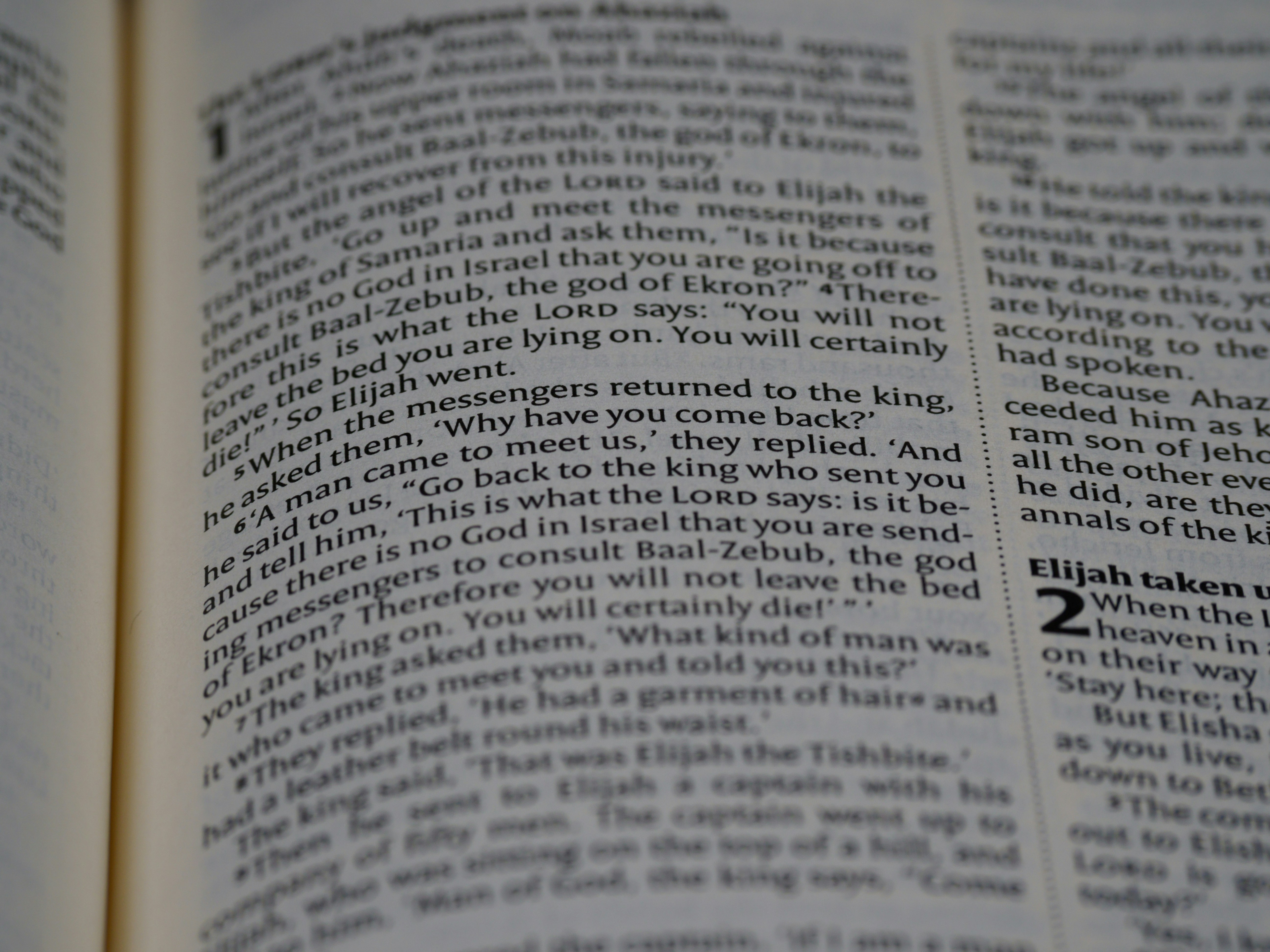 Photo by brett_jordan