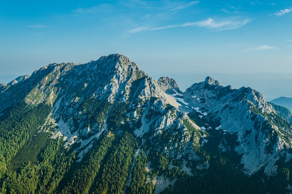 green trees on mountain under blue sky during daytime