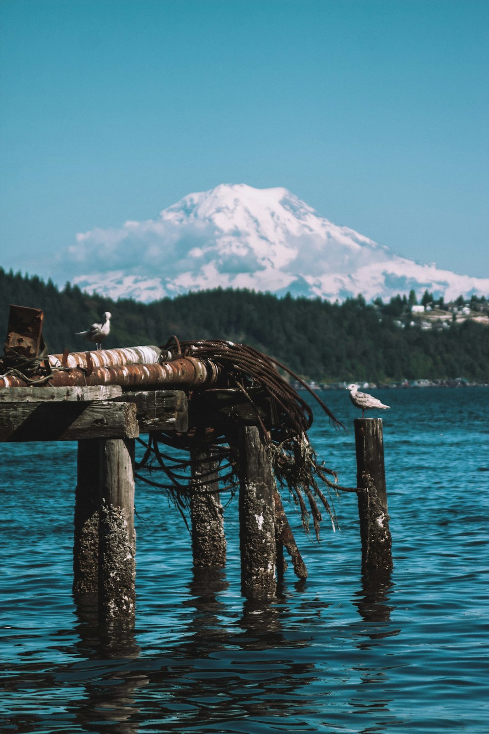 brown wooden dock on blue sea during daytime