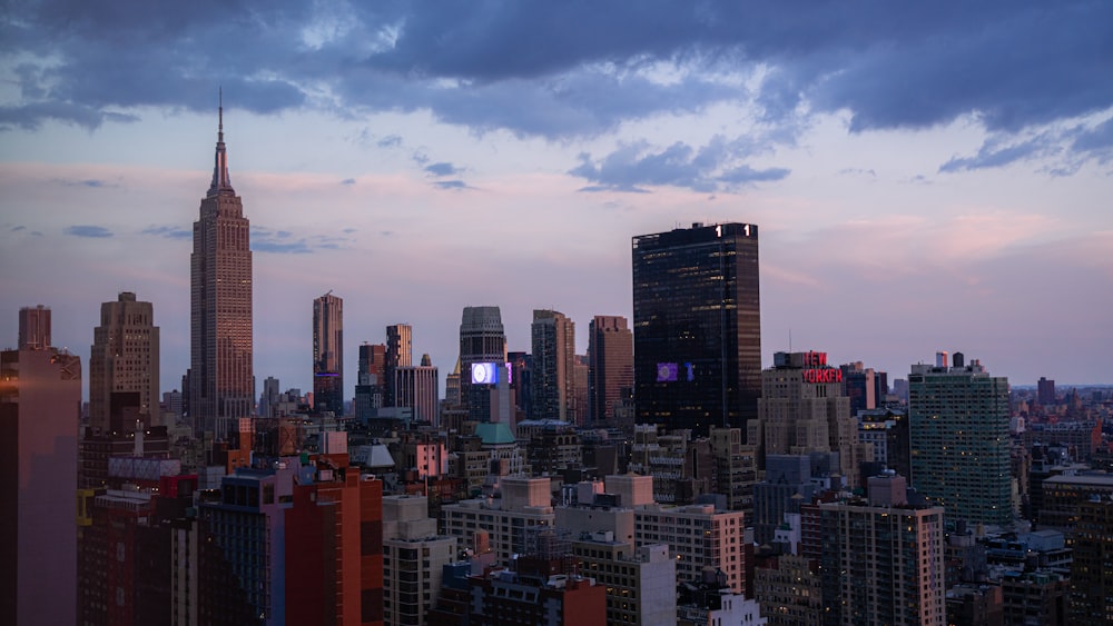 city skyline under blue sky during daytime