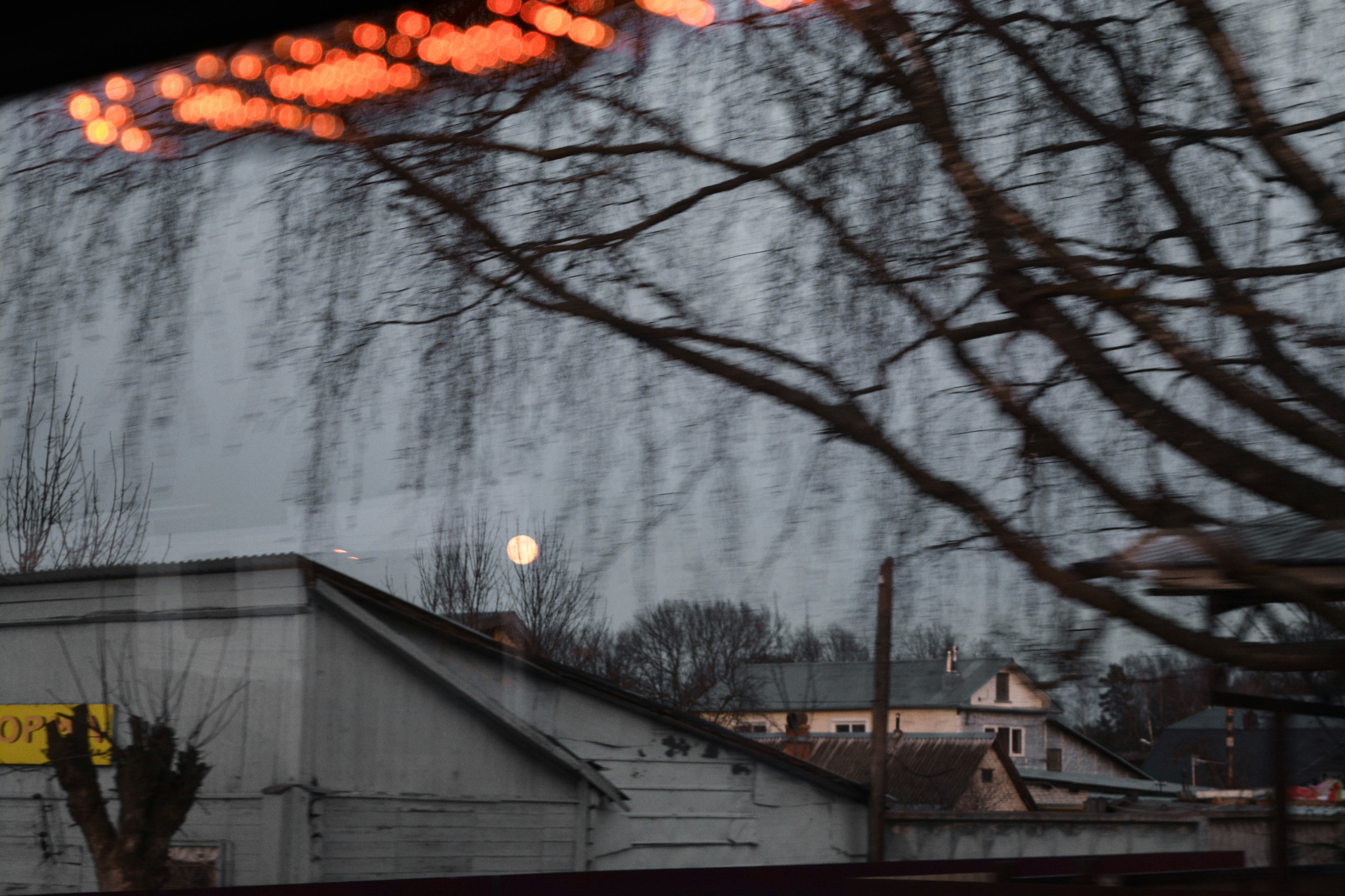 bare trees near building during daytime