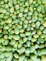 A large collection of green mangoes piled together, showcasing a variety of shapes and sizes. Some mangoes have small dark spots and hints of yellow on their skin.