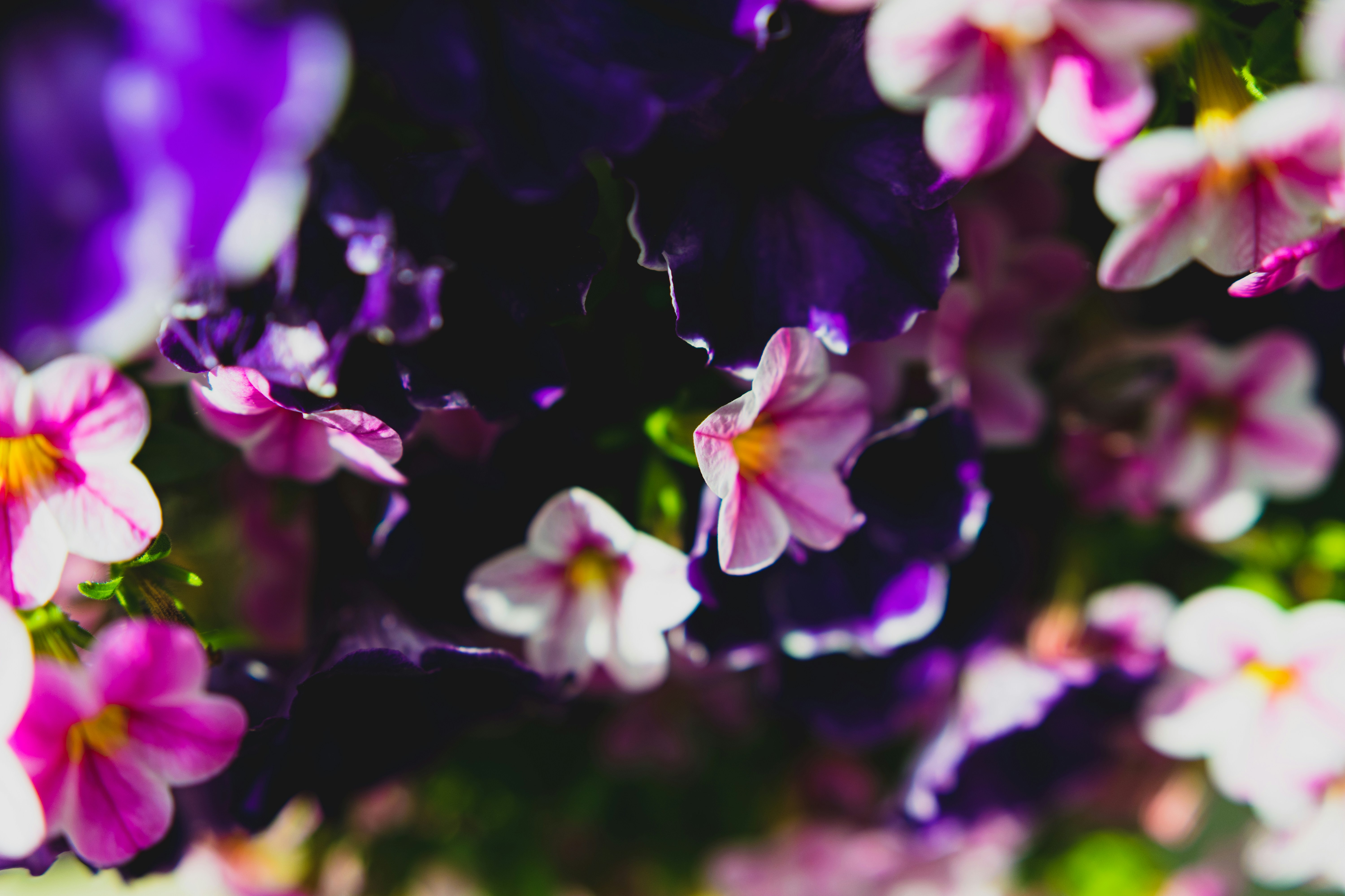 Photo by starworshipp3r