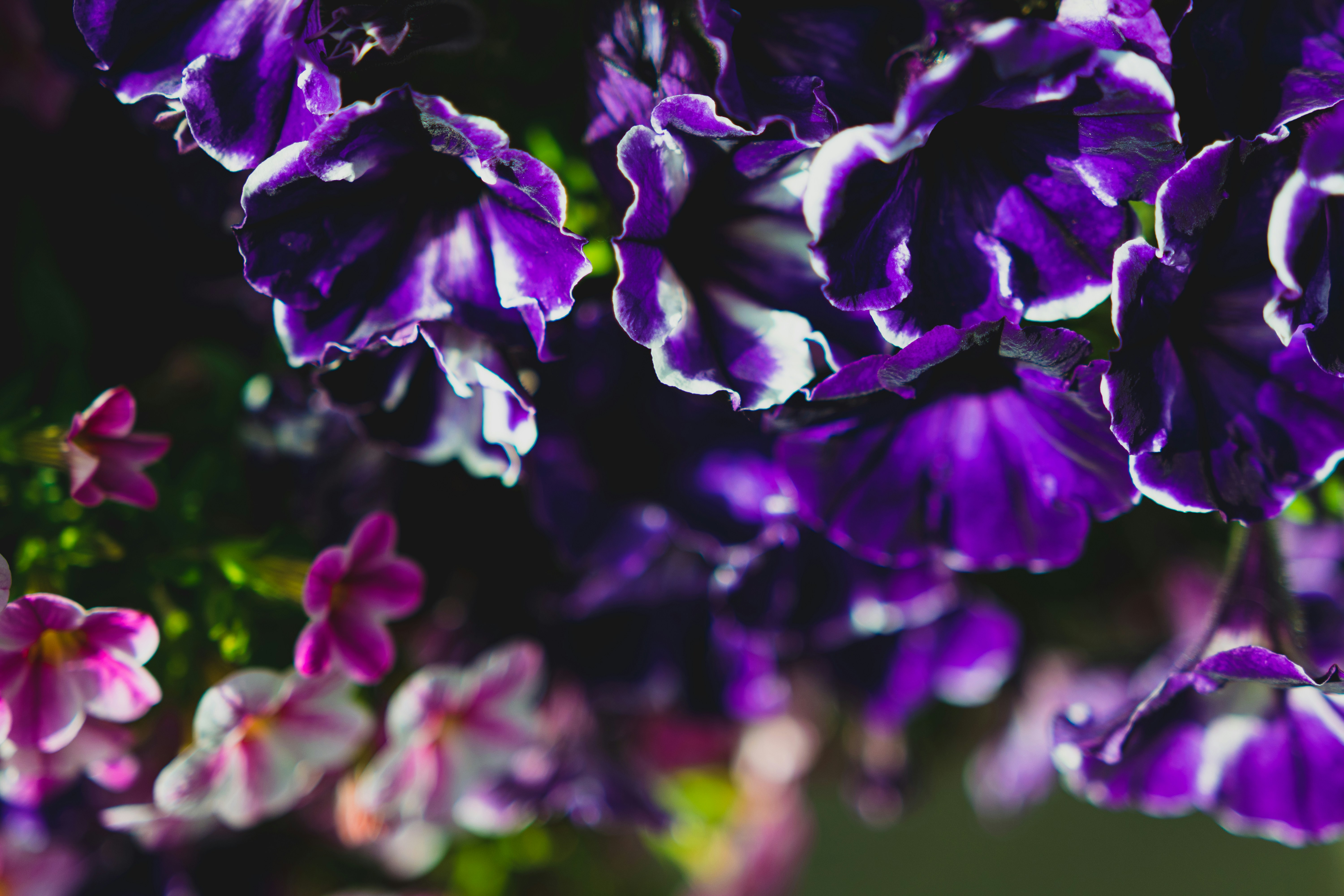 Photo by starworshipp3r