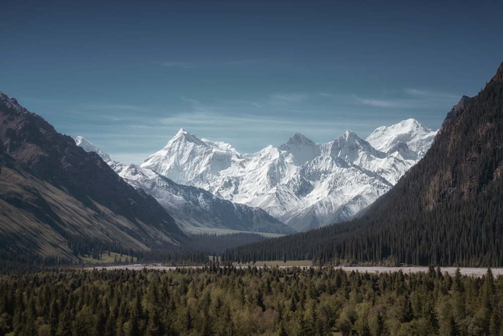 Schneebedeckte Berge tagsüber