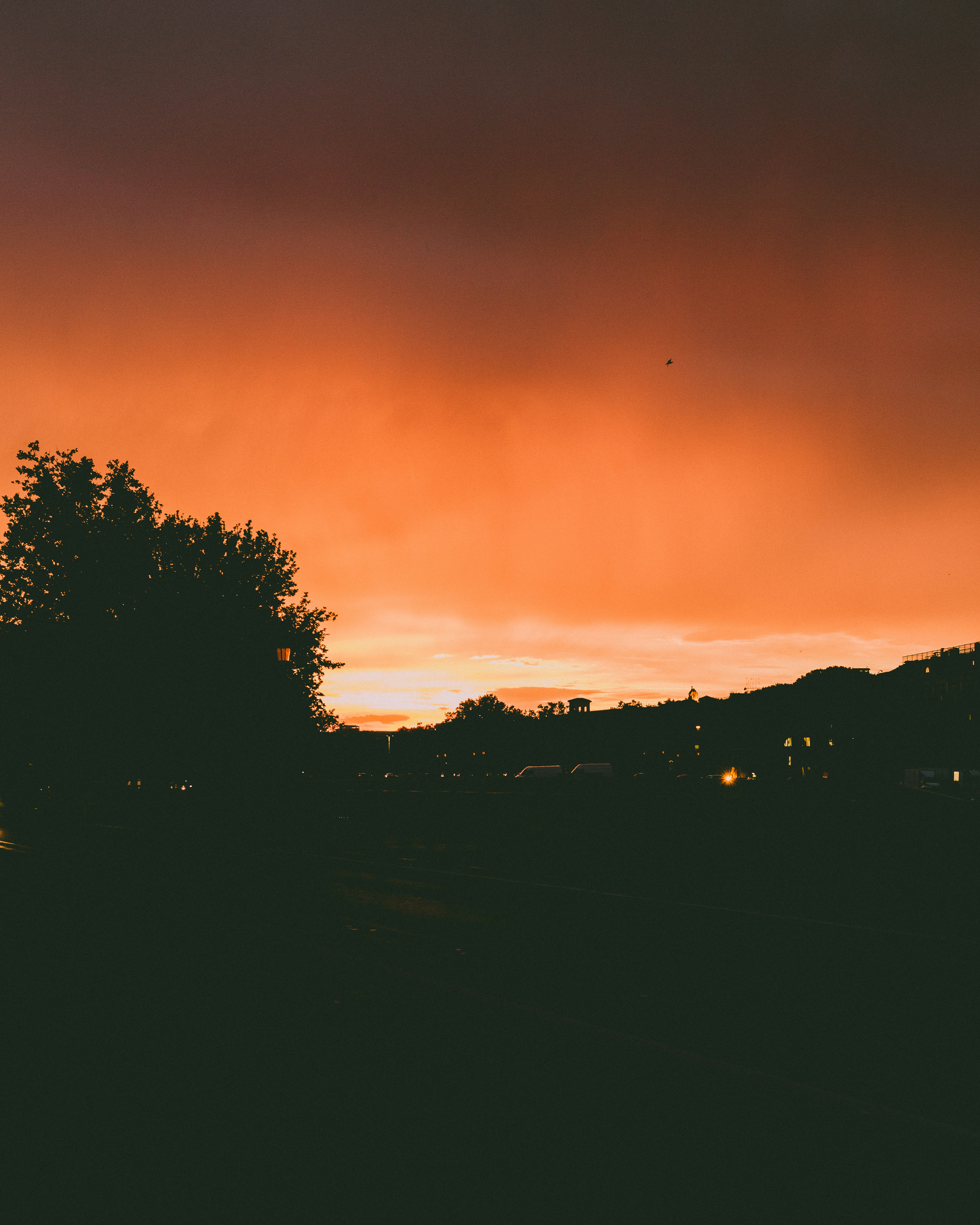 Photo by mrsunflower94