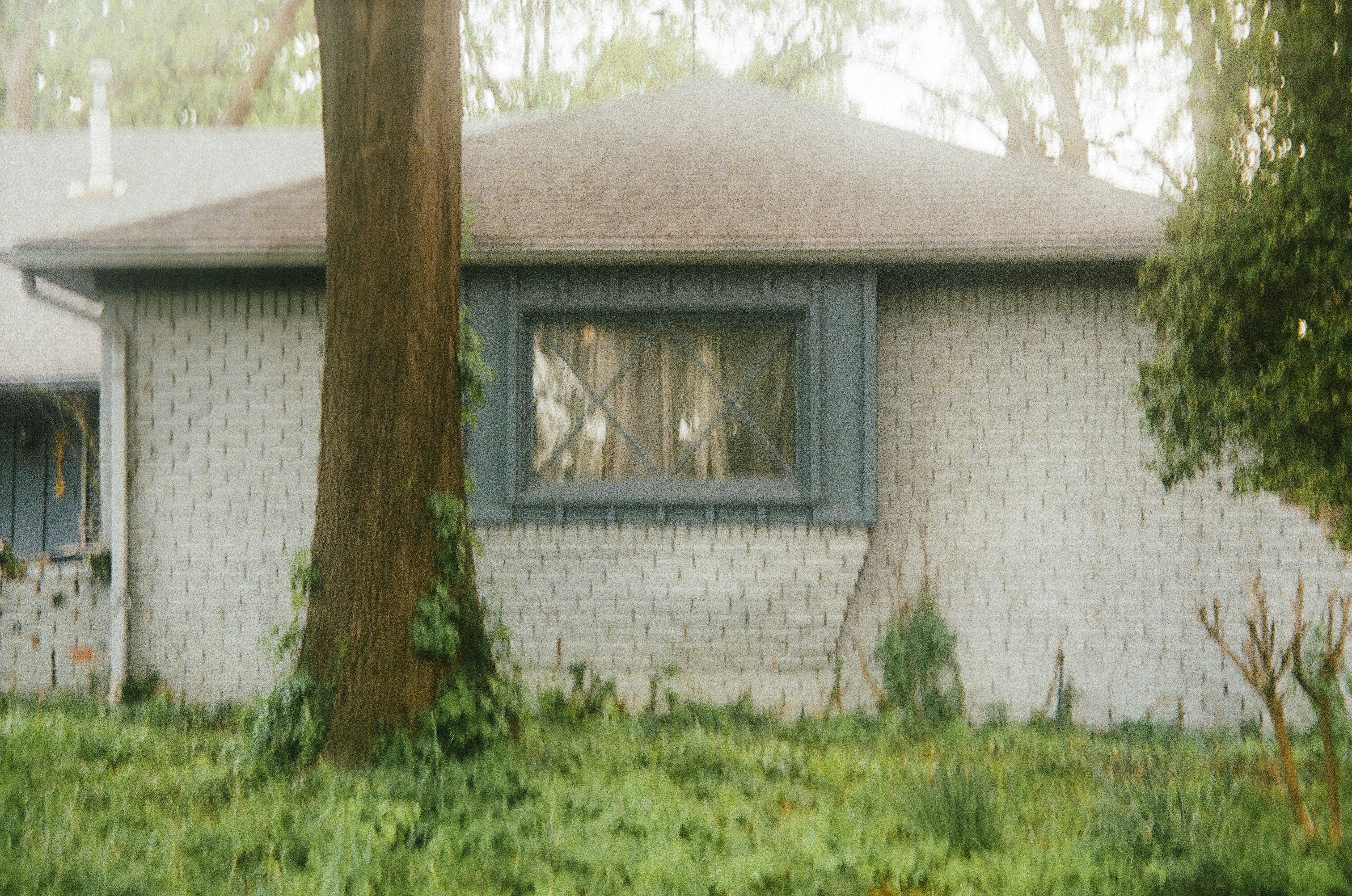 The Dog House