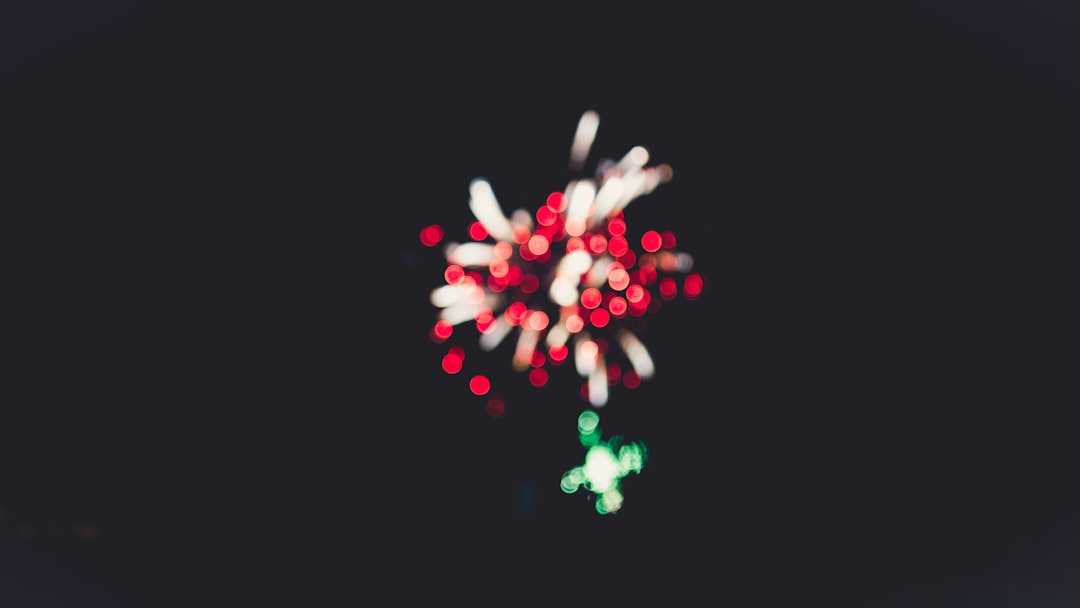 red and white flower petals