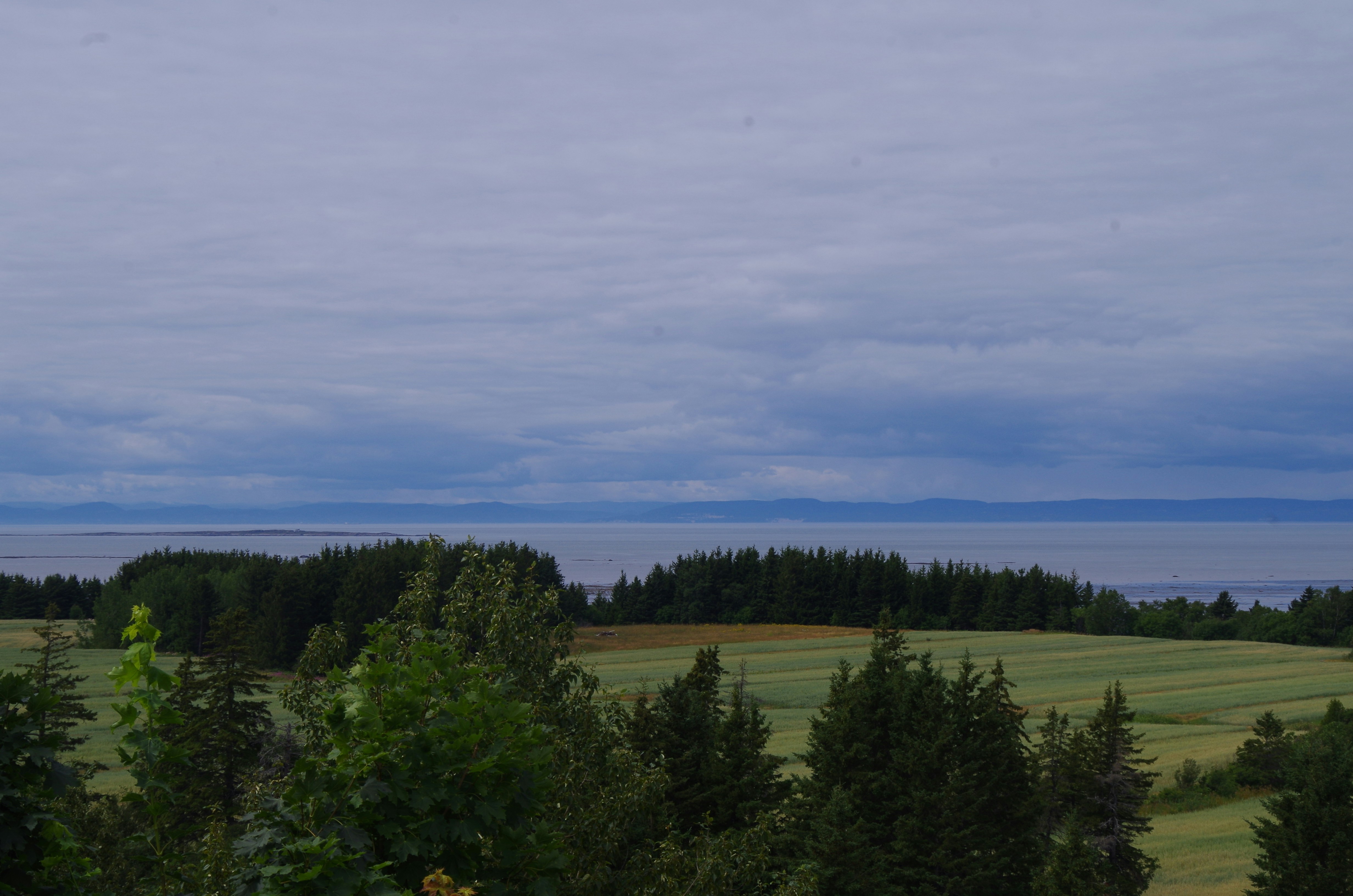 Photo by austinhuang