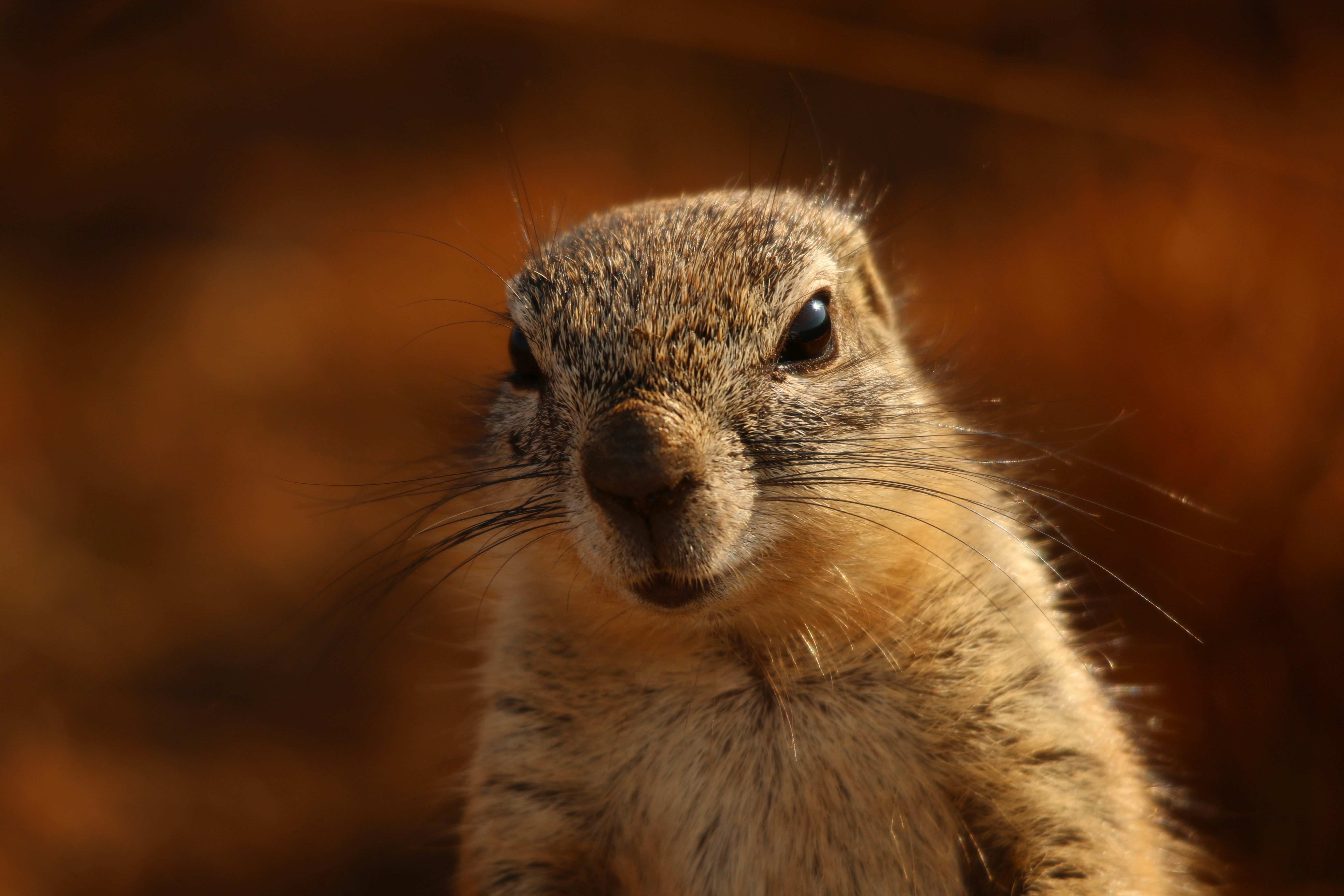 Photo by houseplantsimon