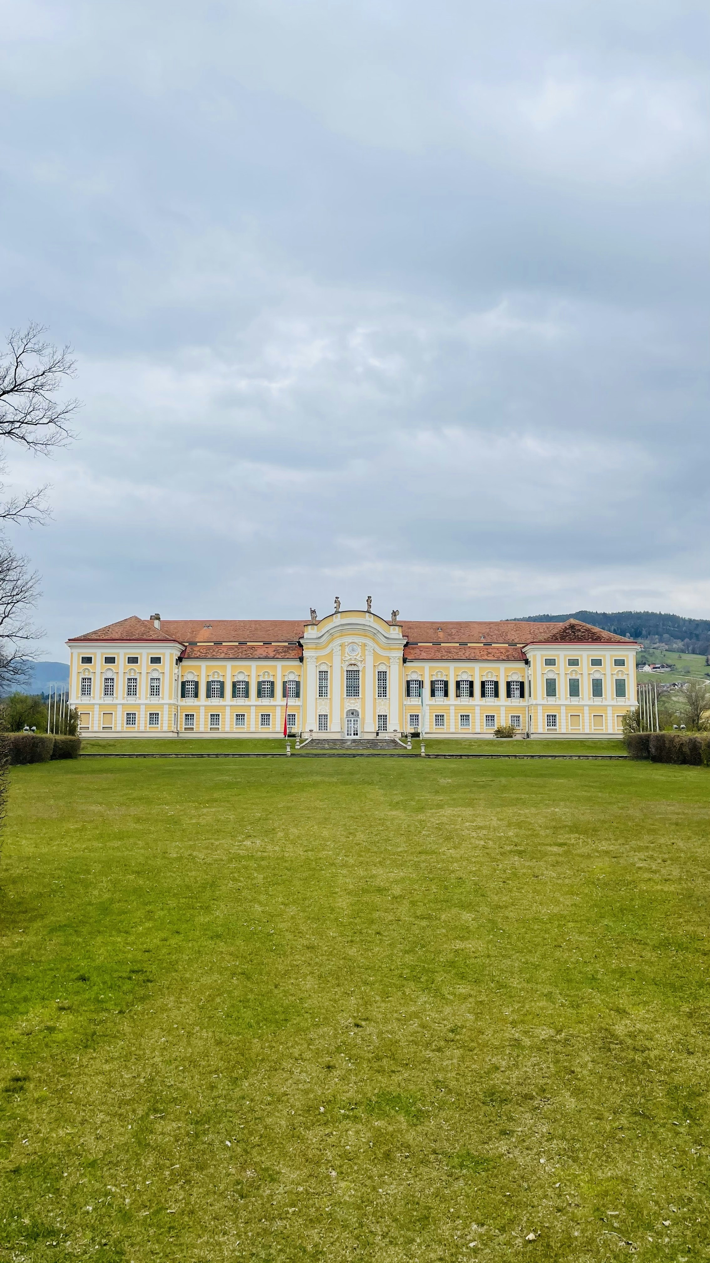 Photo by sophies_snaps