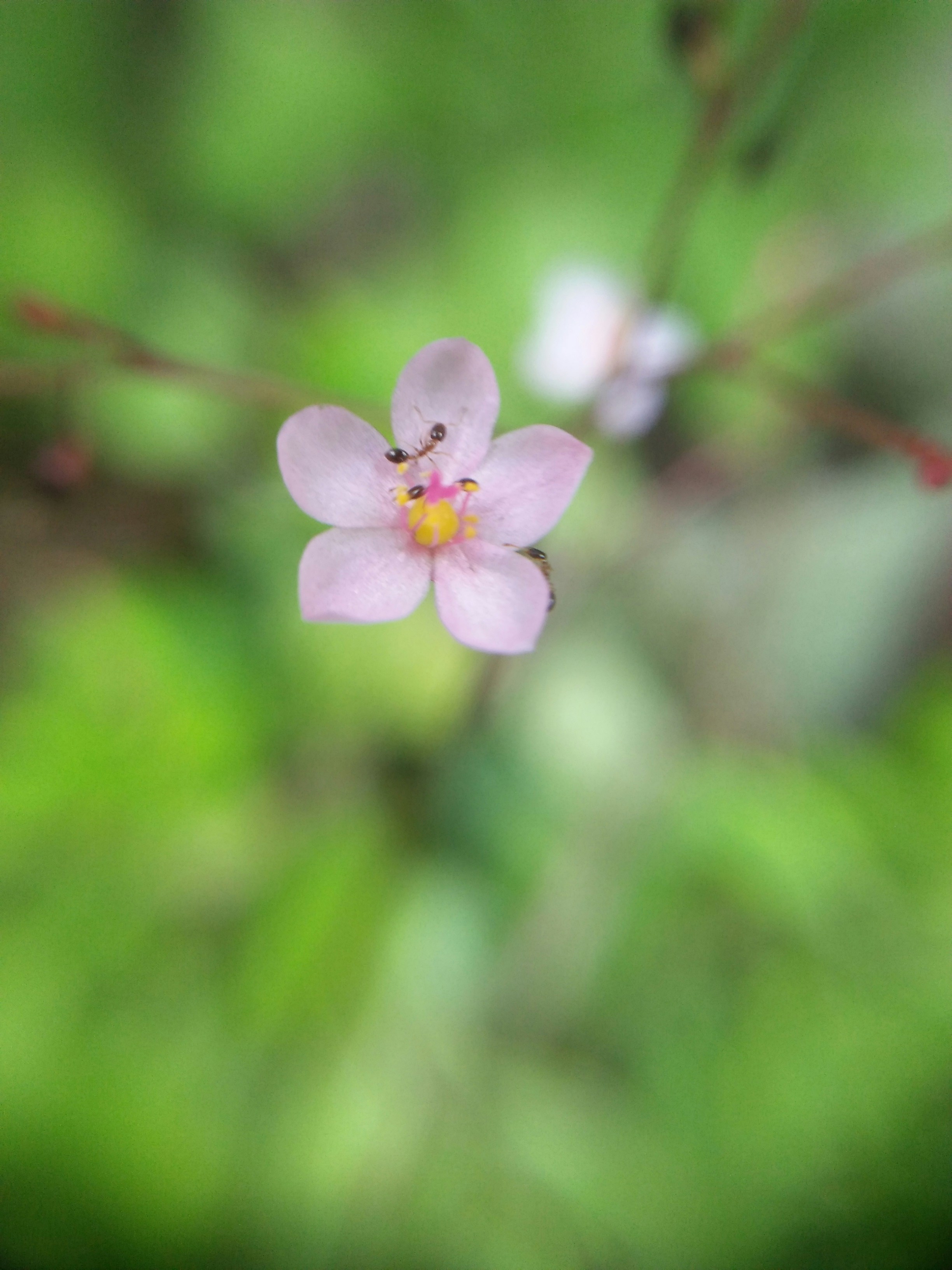Photo by viern