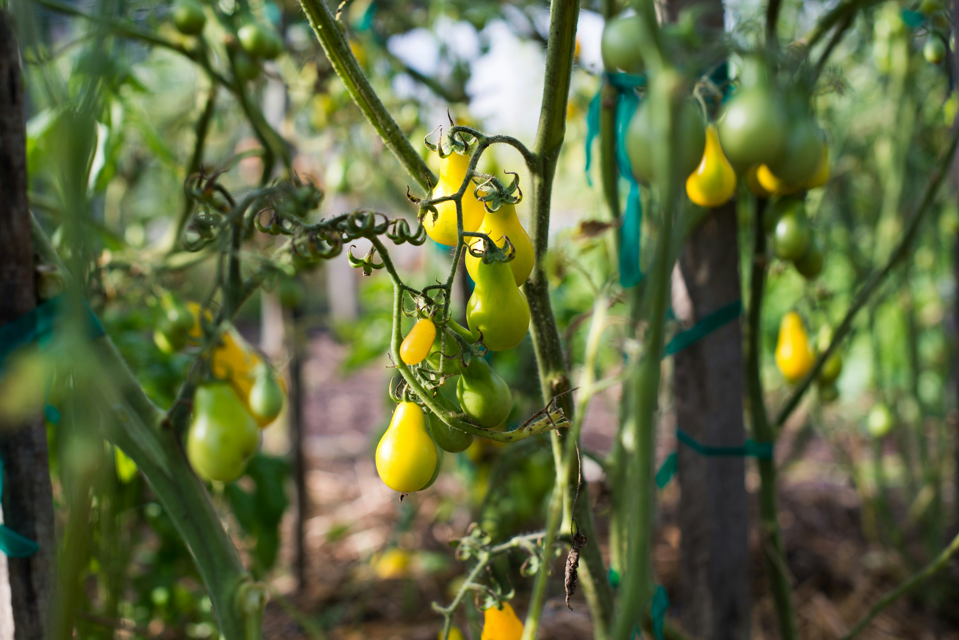 Photo by farmsteadphoto