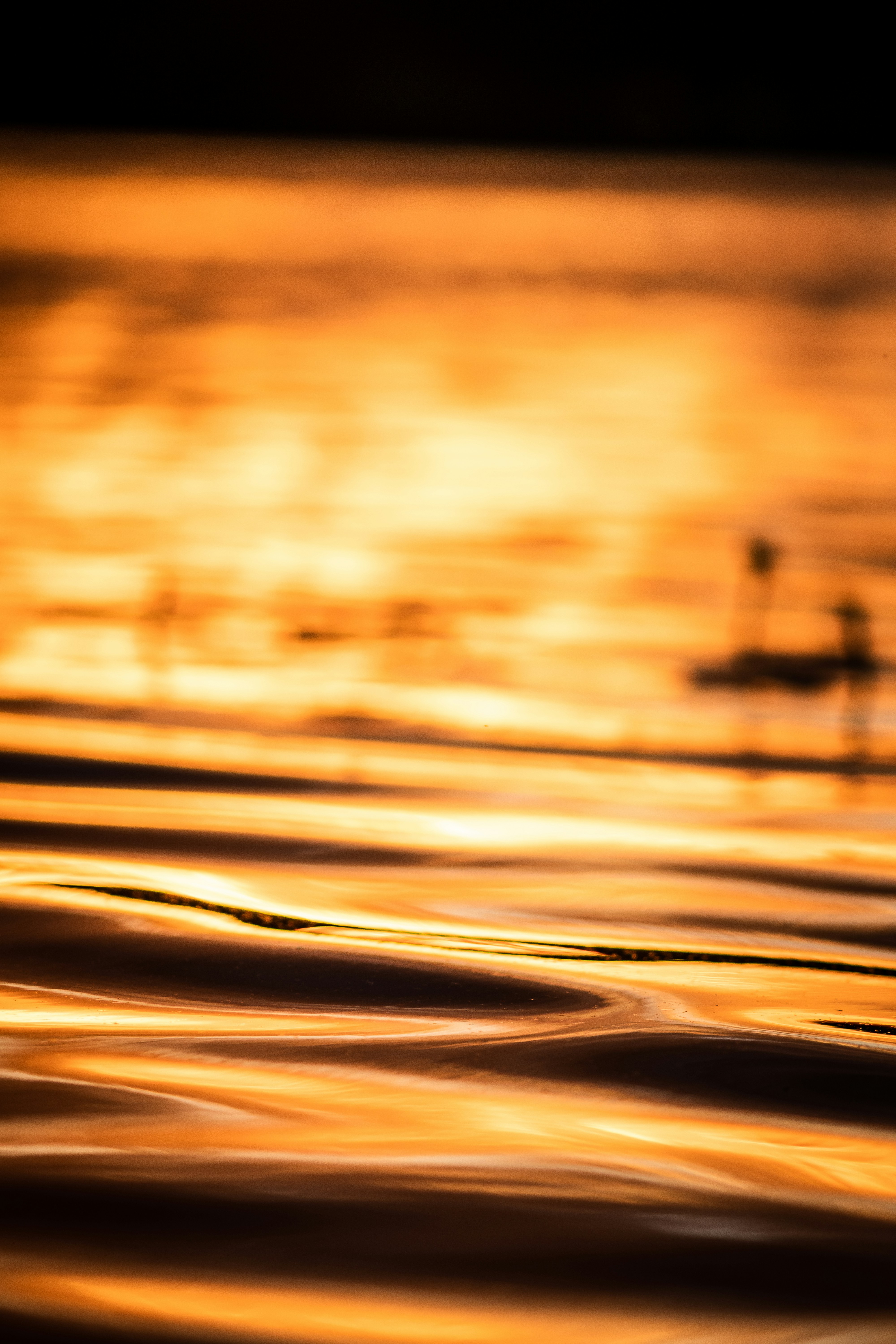 Photo by cole_wyland_24