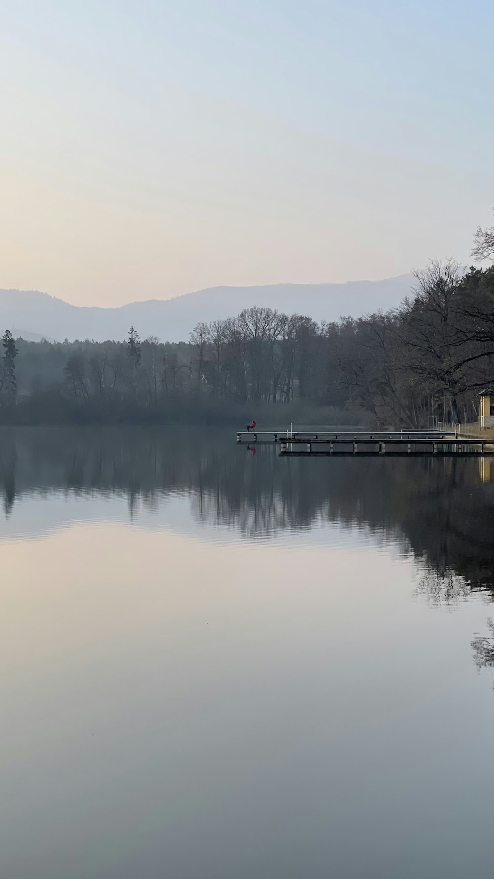 brown wooden dock on lake during daytime