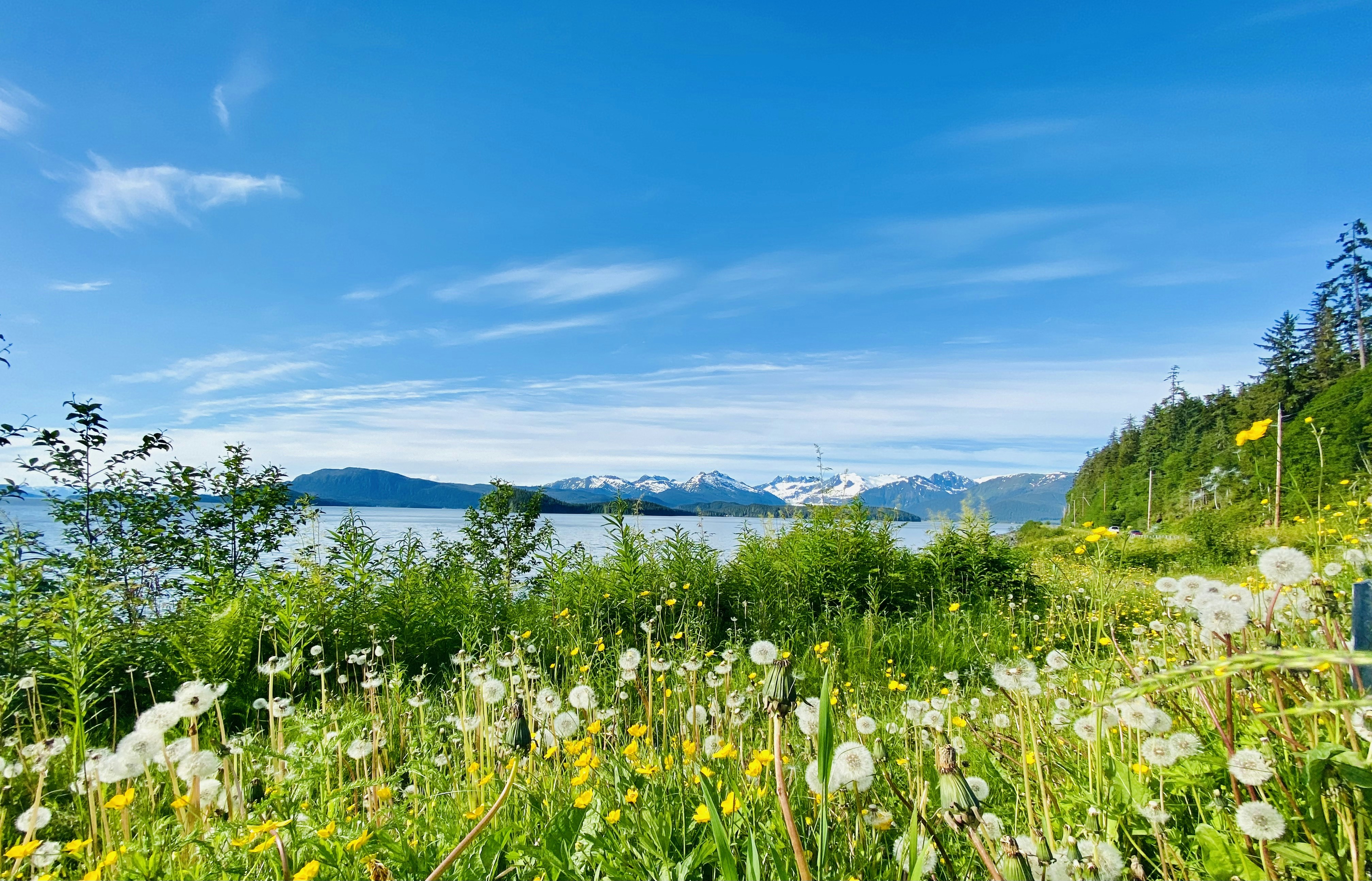 Photo by kayticloudkicker