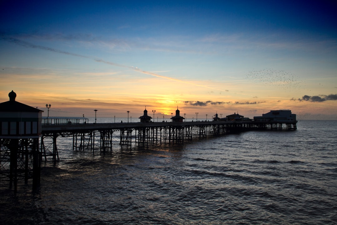 silhouette of people on dock during sunset