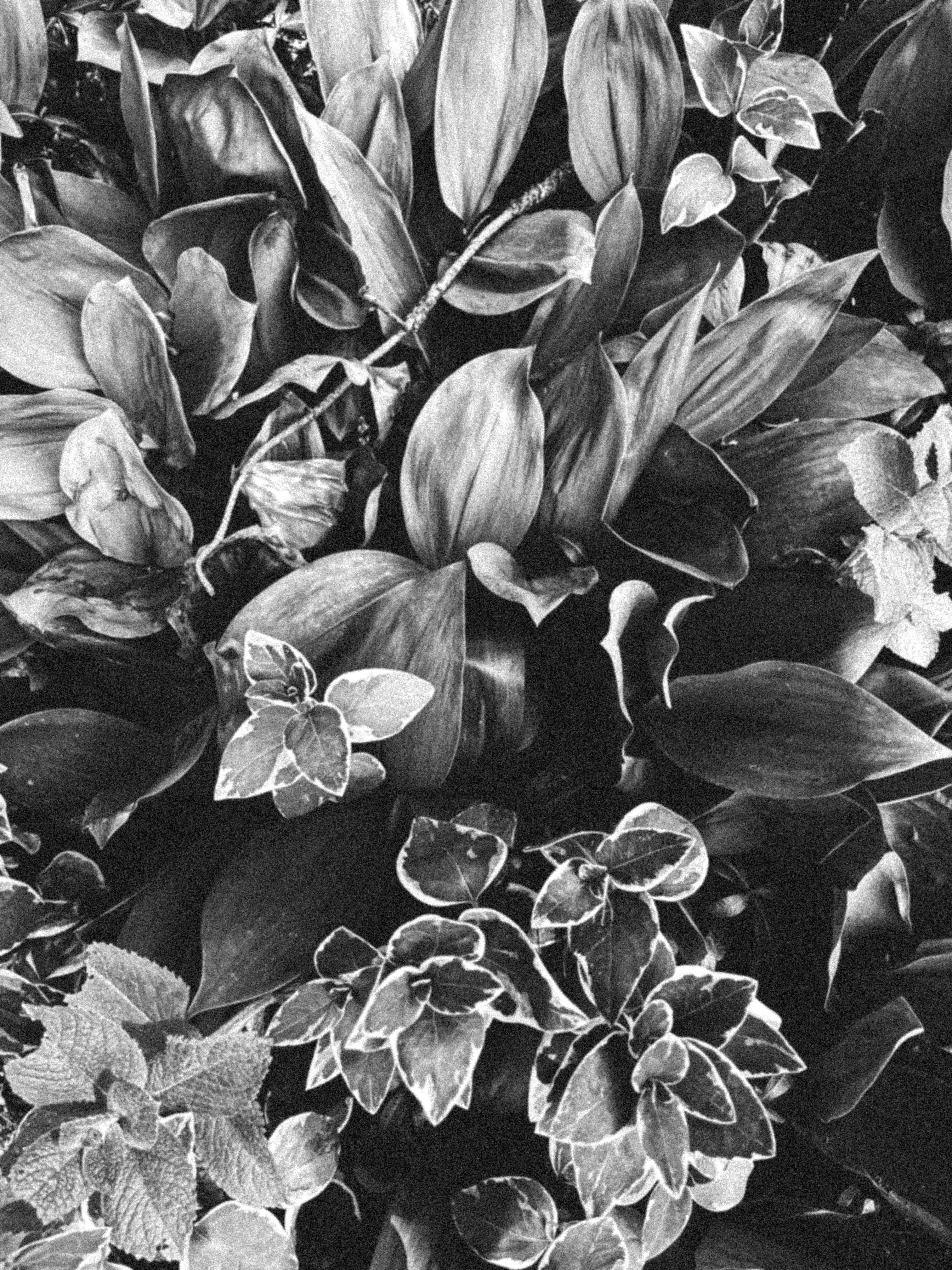 Photo by alina_maria_r