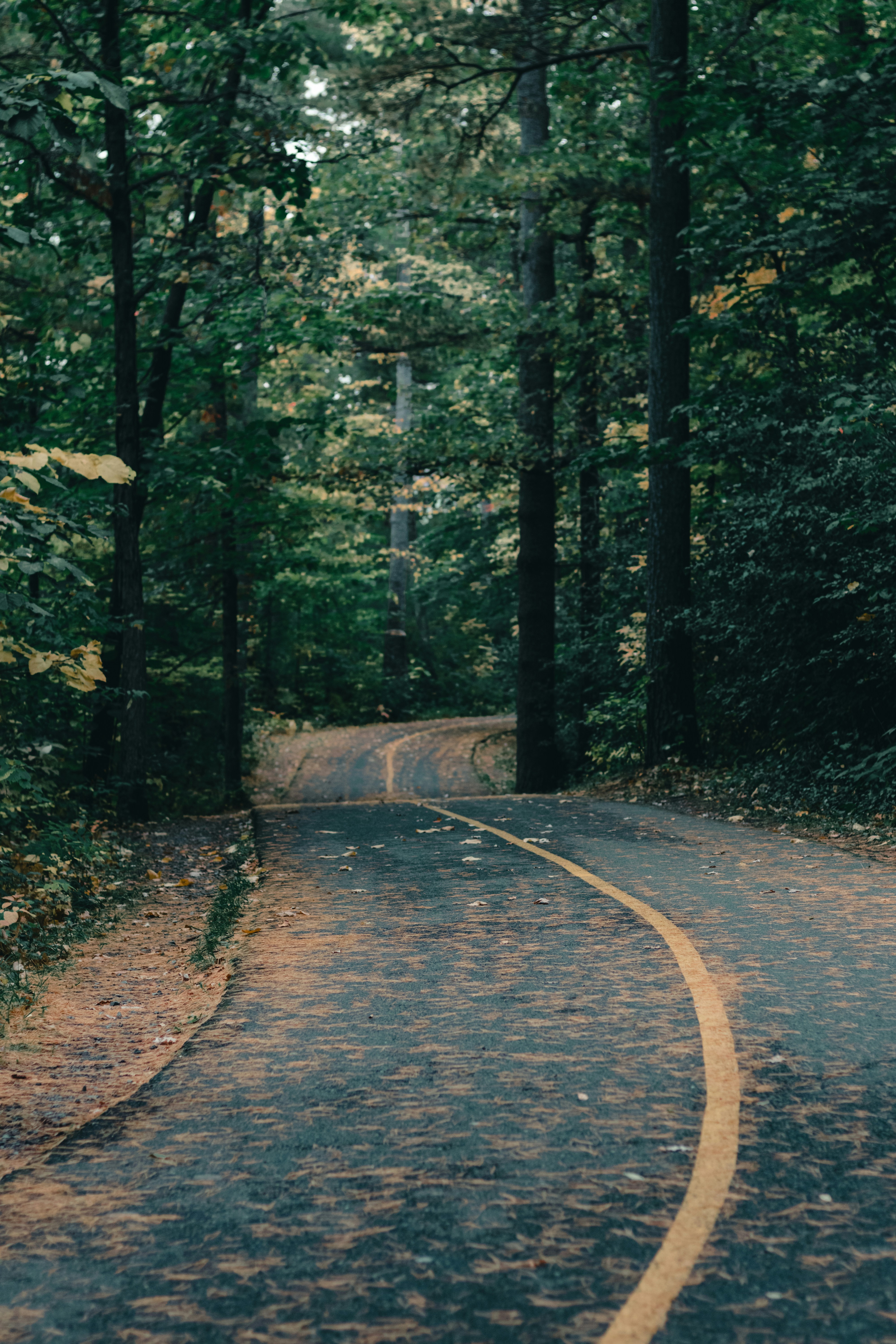 Photo by lureofadventure