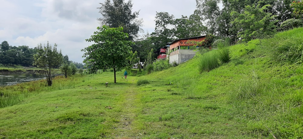 green grass field near brown wooden house during daytime