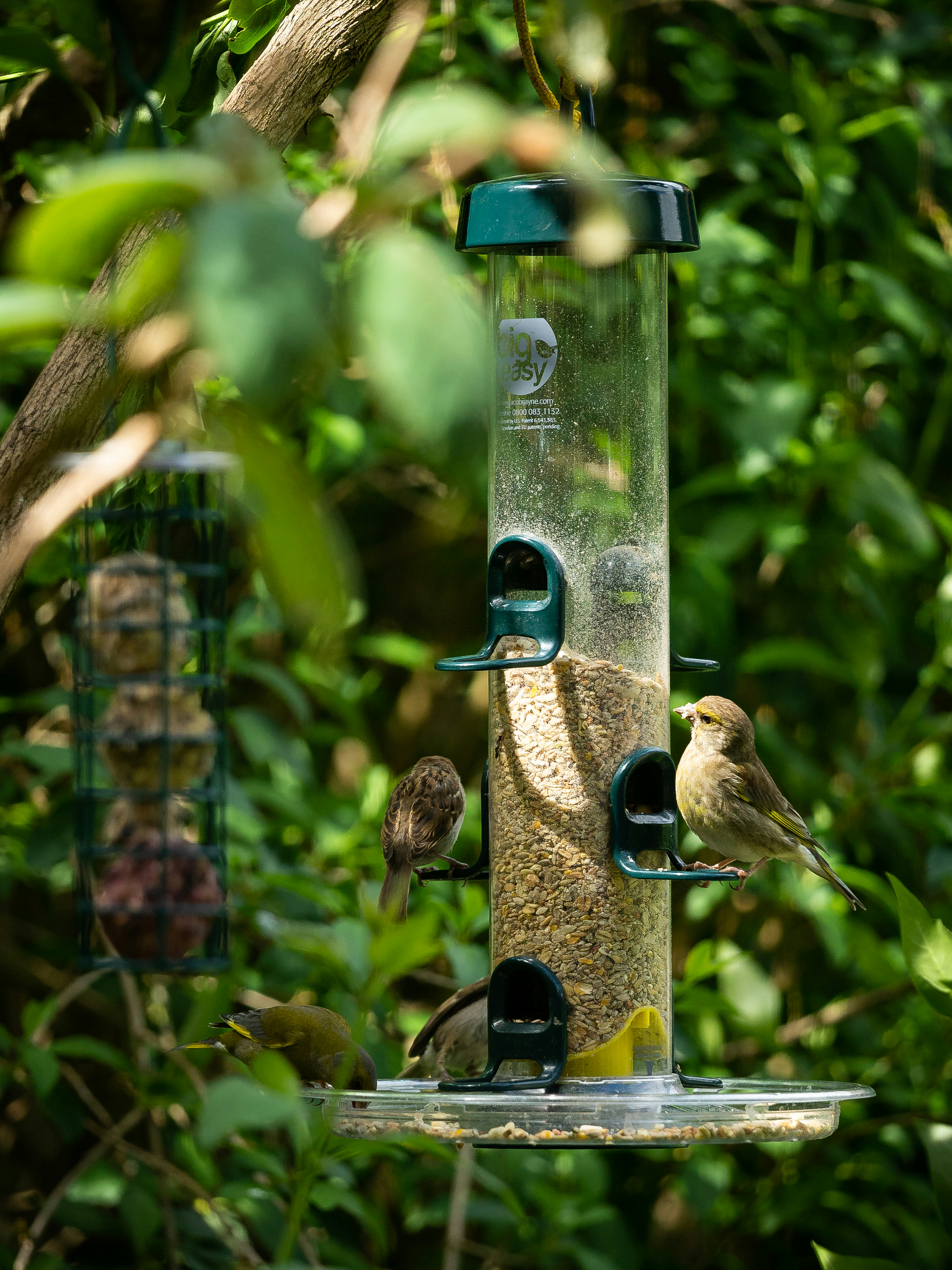 Photo by moritzluedtke