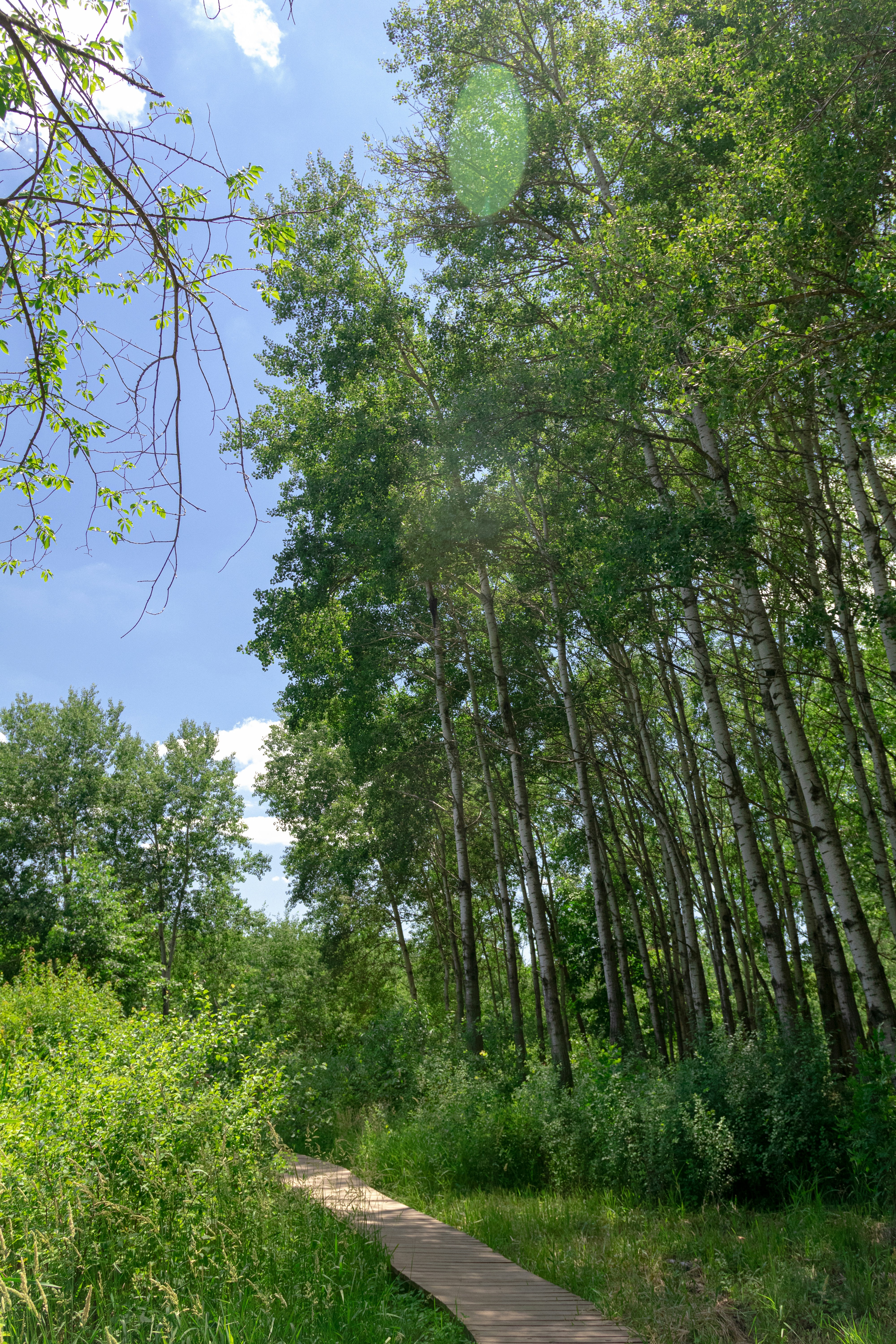 Photo by benoitphoto