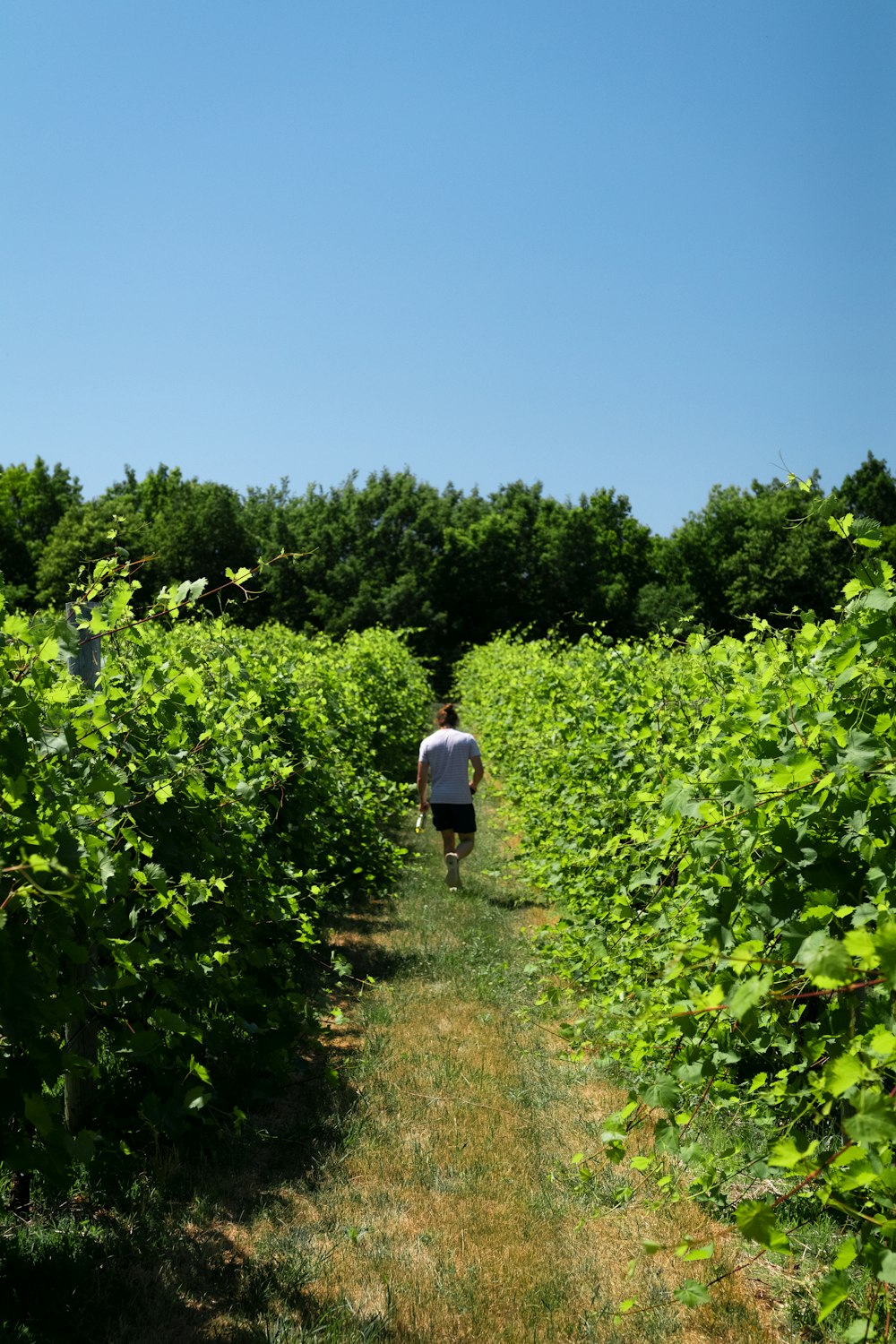 man in white shirt walking on green grass field during daytime