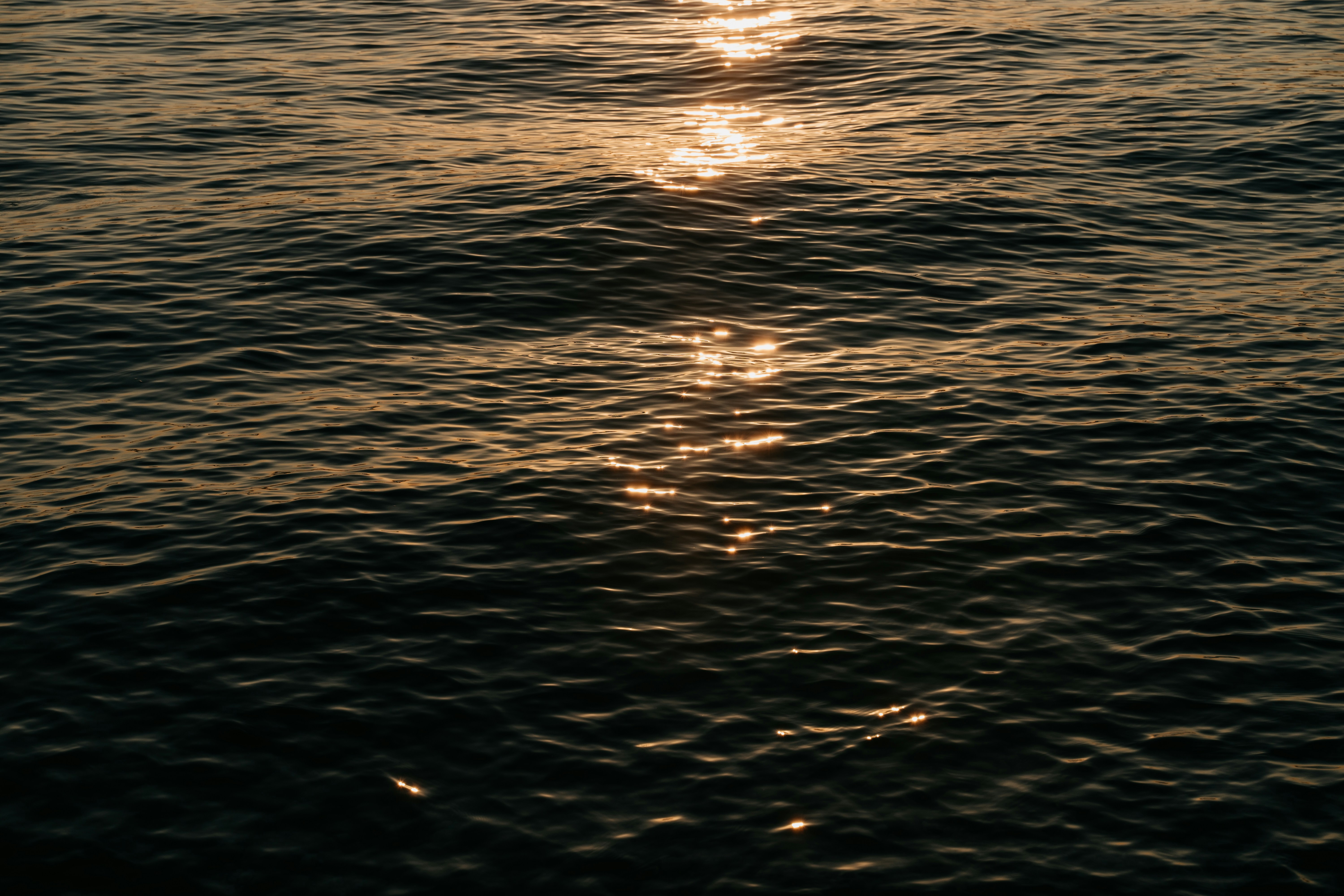 Photo by philippangerhofer