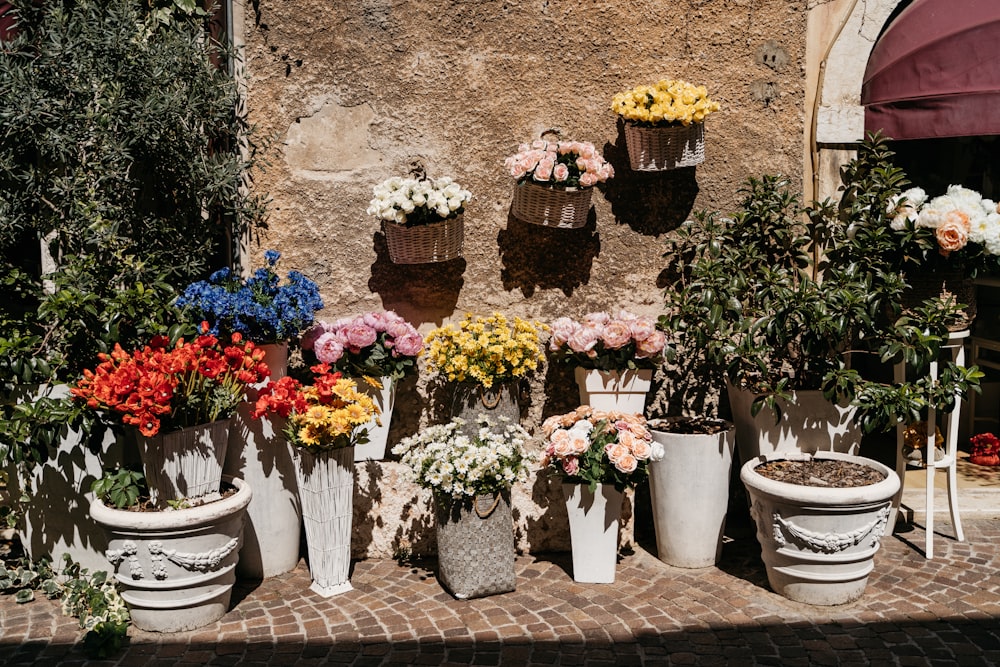 yellow pink and purple flowers on white ceramic pots