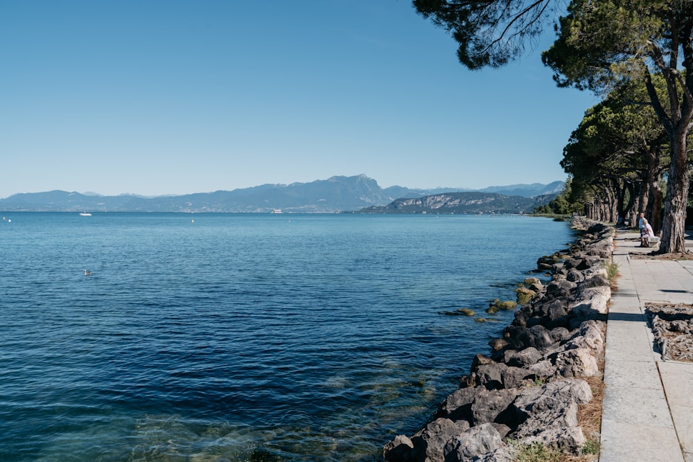 blue sea near green trees under blue sky during daytime