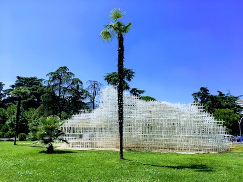 A large, geometric art installation made of white grid-like structures is situated on a well-manicured green lawn. Several tall, thin palm trees are interspersed around the structure. In the background, dense green trees and a bright blue sky enhance the scene.