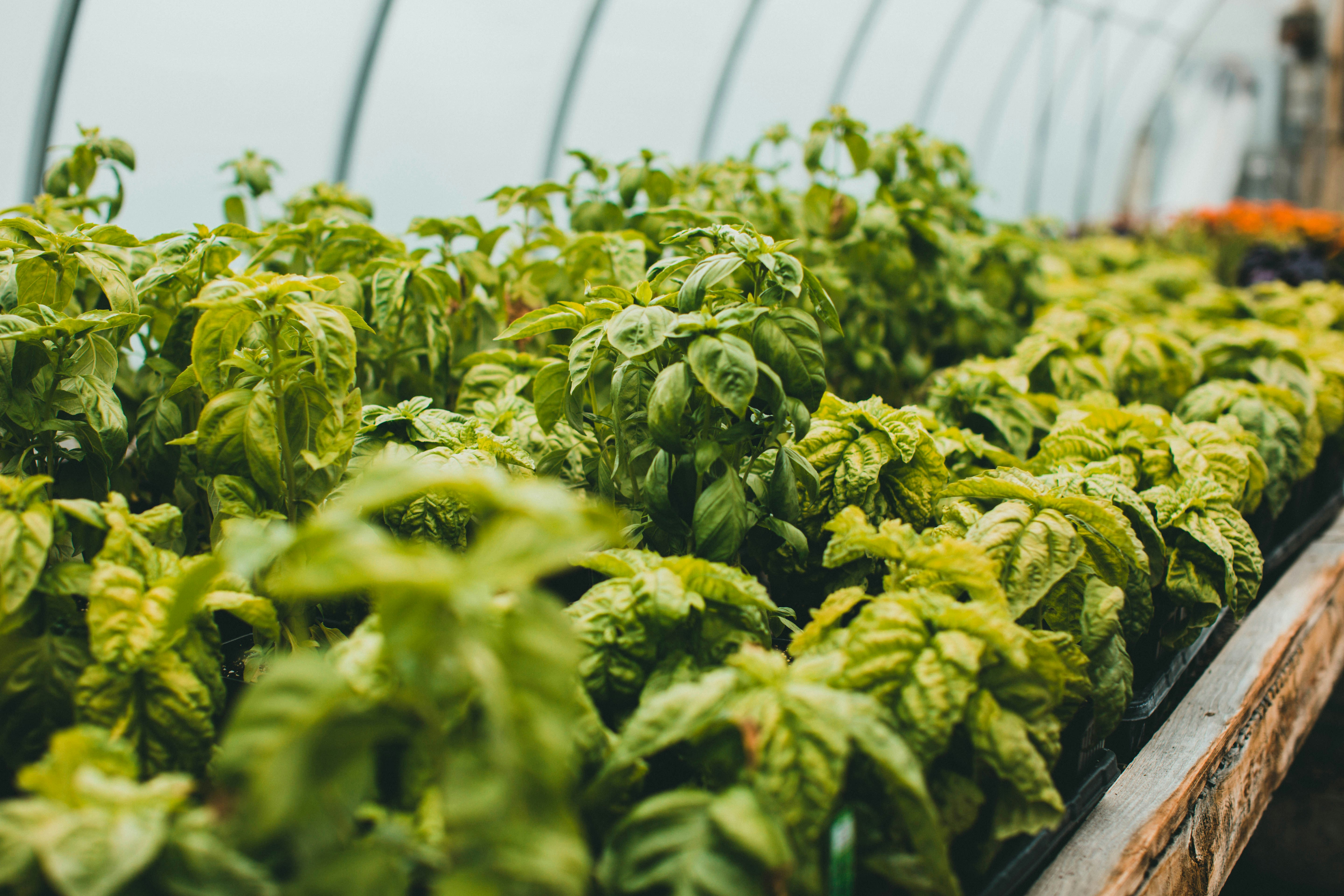 Photo by theshuttervision